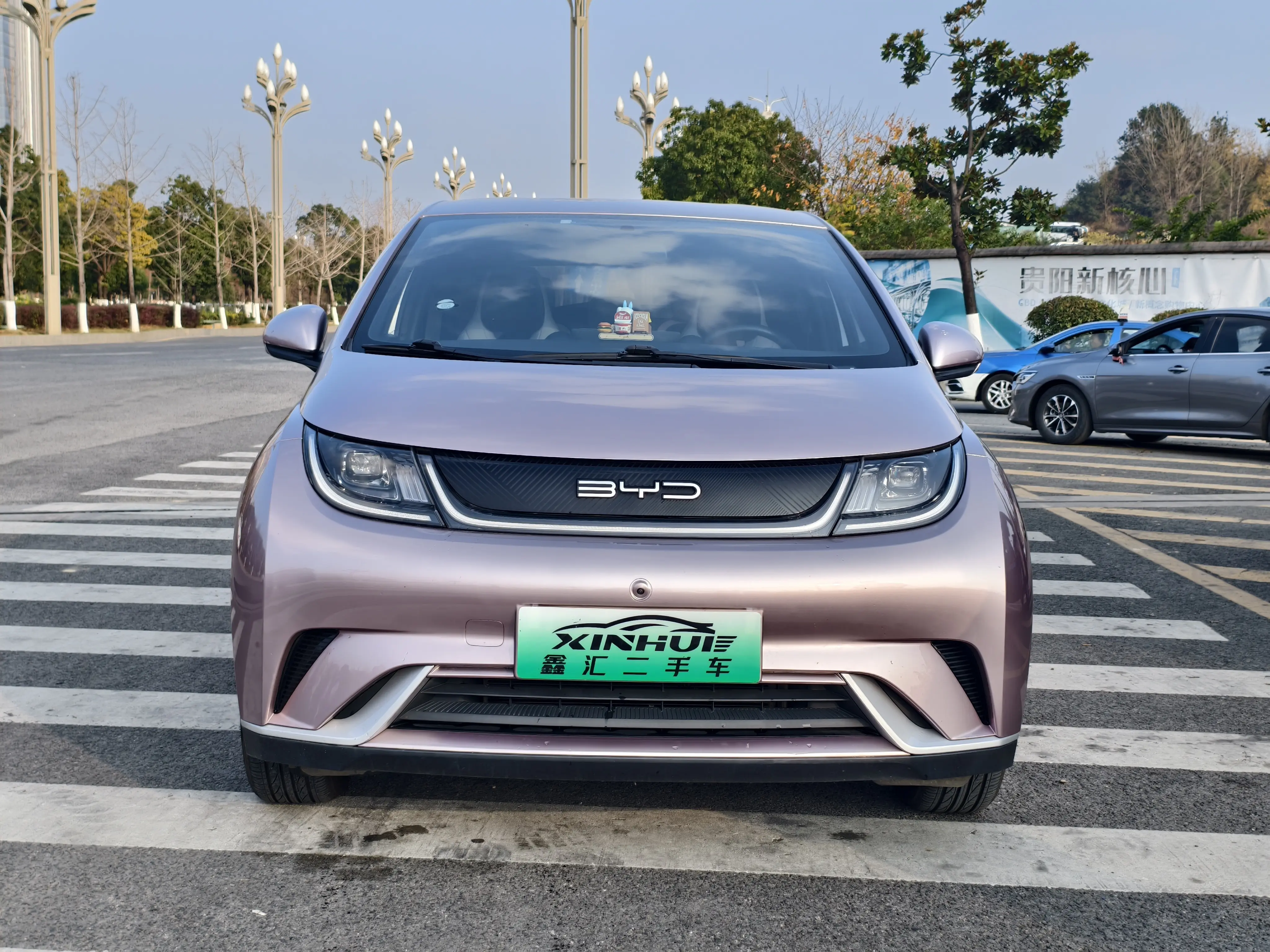 BYD Dolphin  из Китая