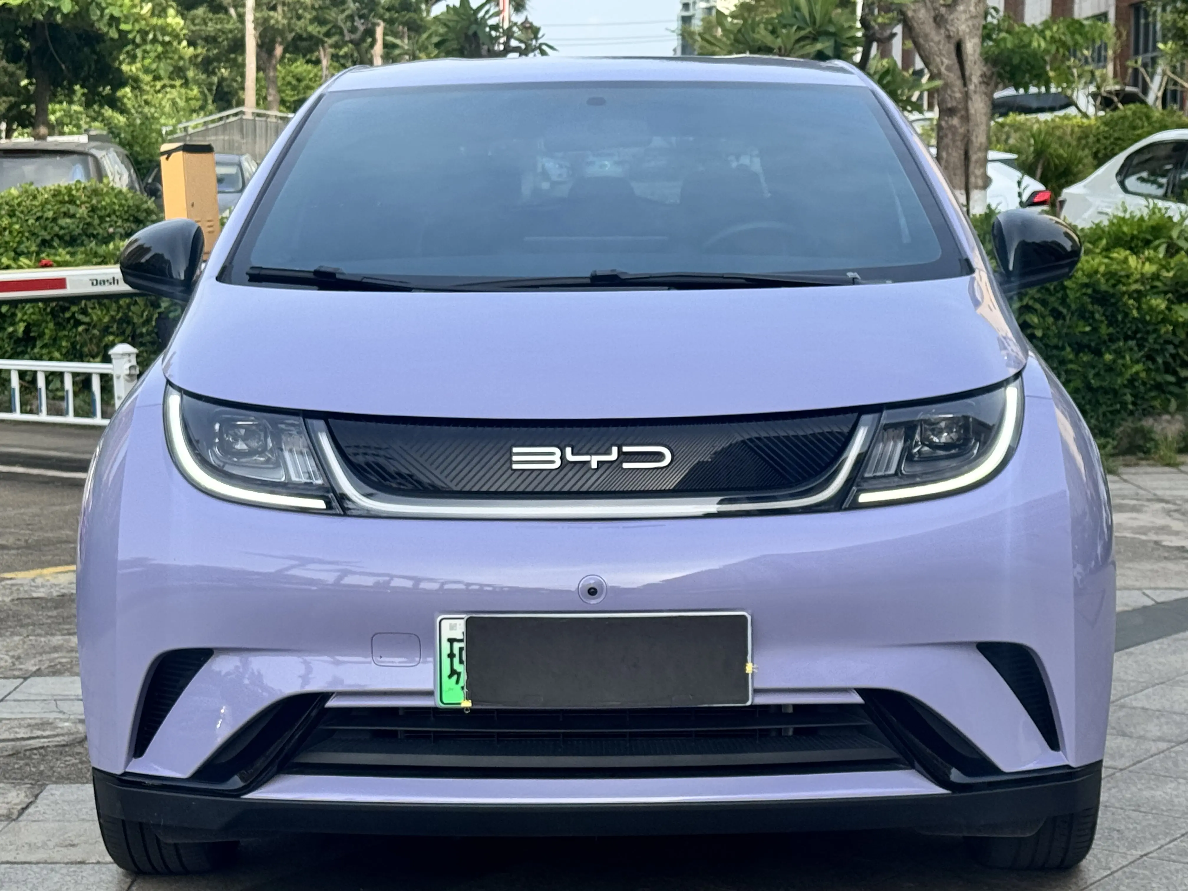 BYD Dolphin  из Китая