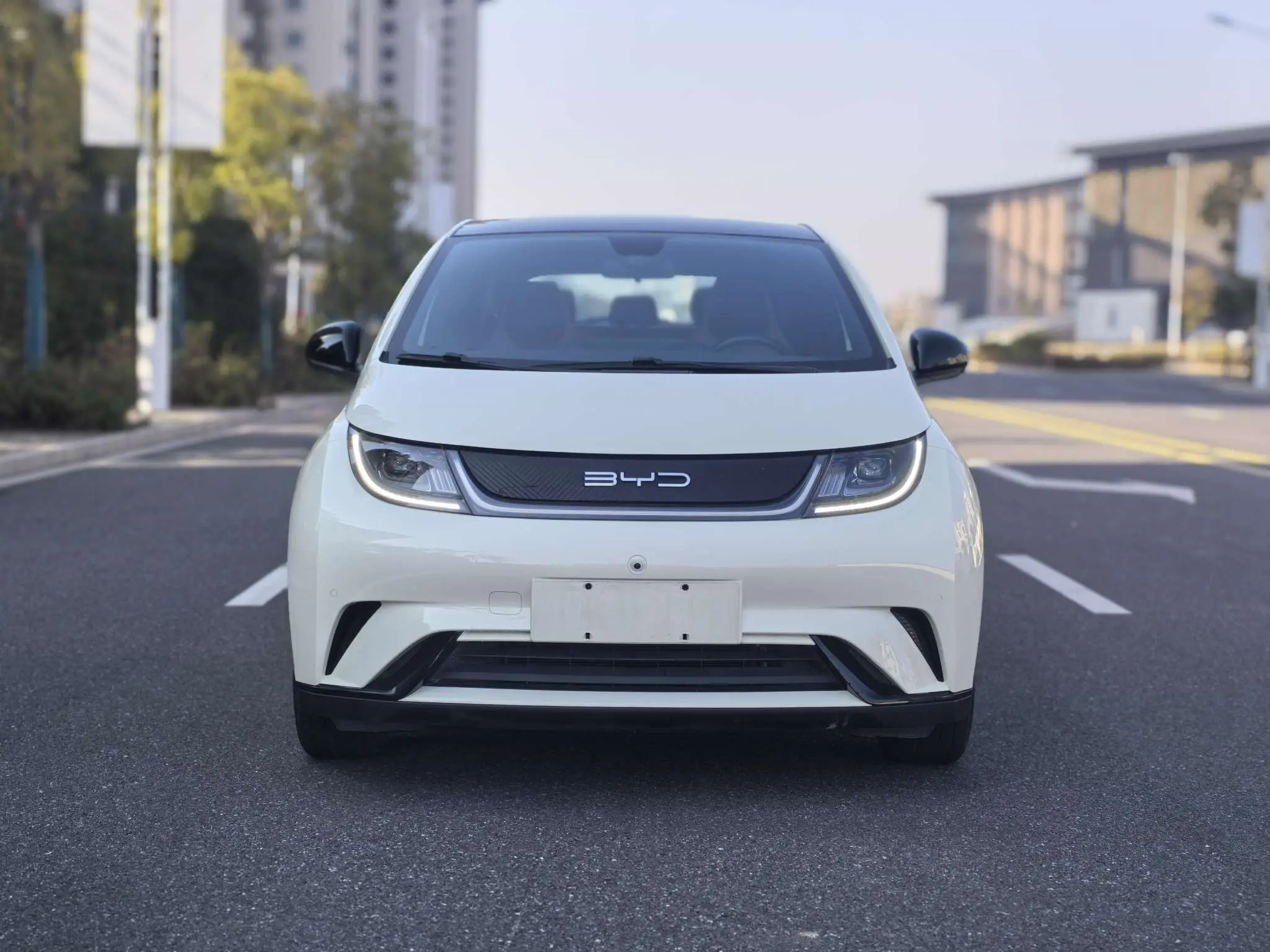 BYD Dolphin  из Китая