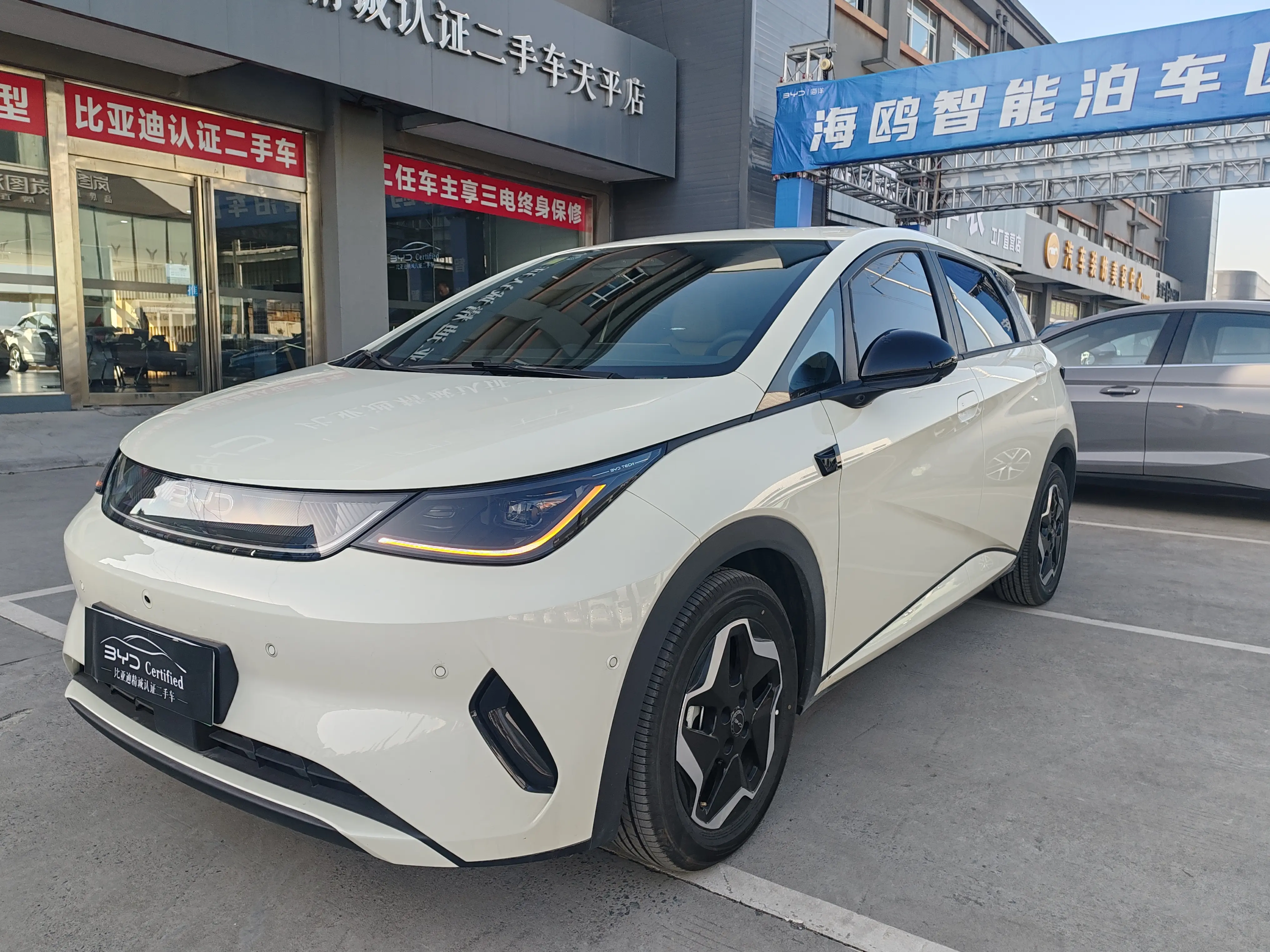 BYD Dolphin  из Китая