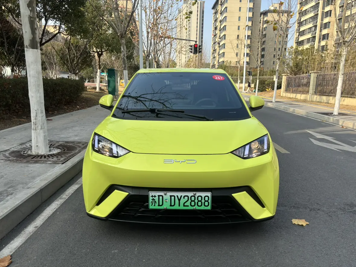 BYD Seagull  из Китая