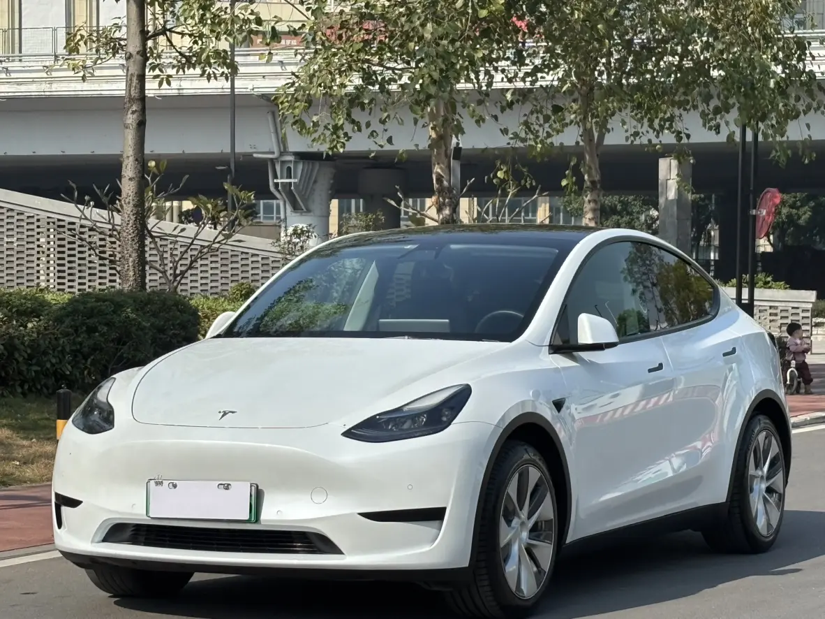 Tesla Model Y  из Китая