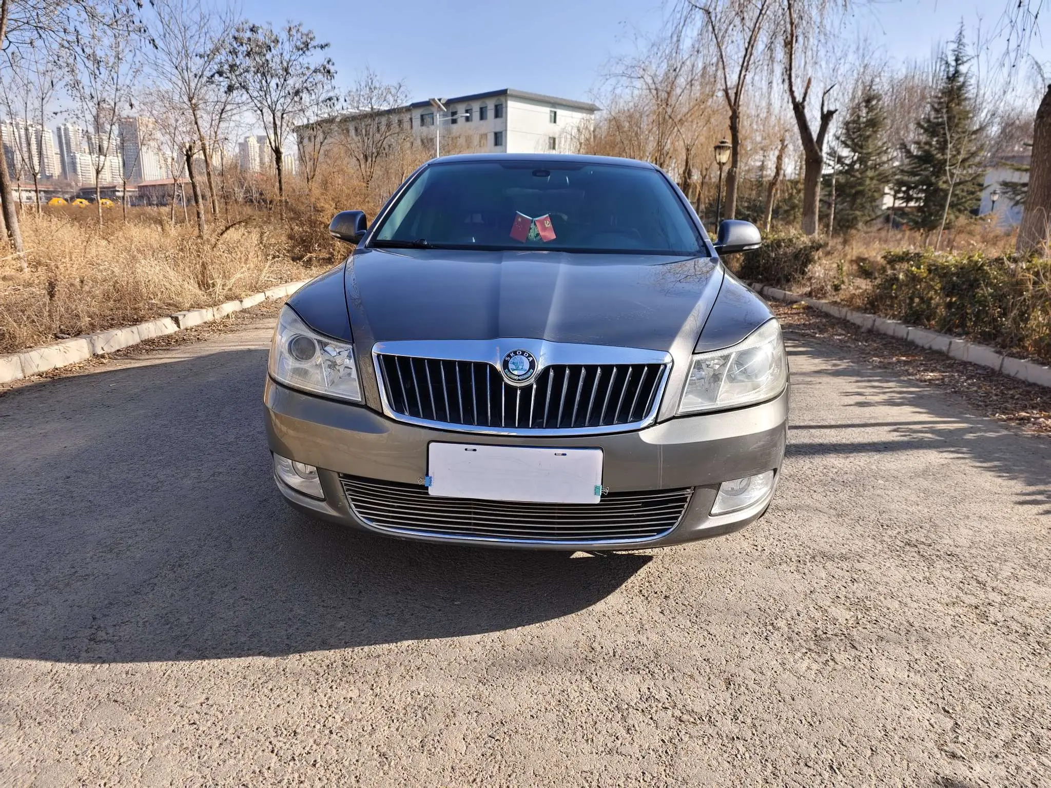 Skoda Octavia  из Китая
