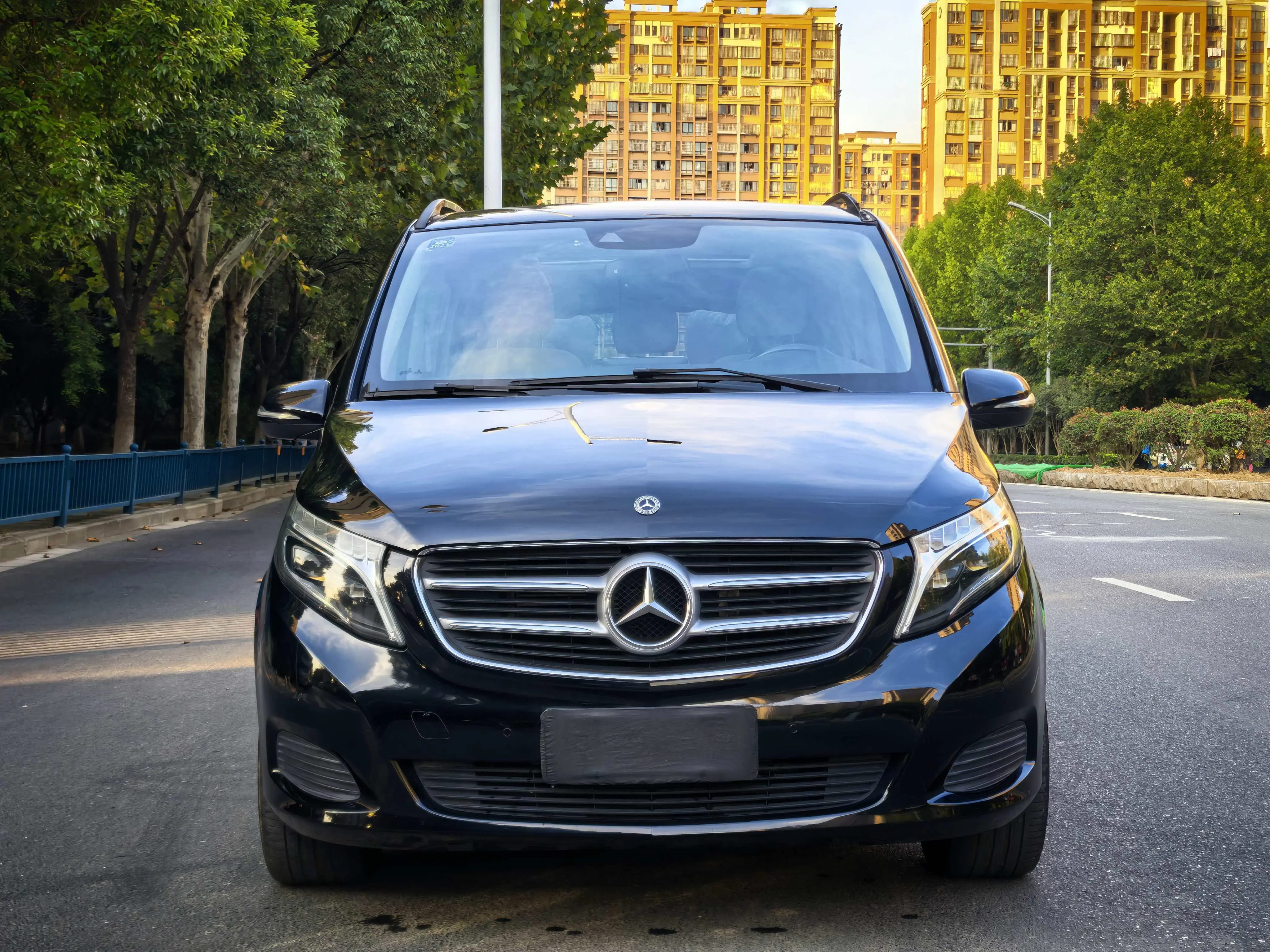 Mercedes-Benz Mercedes Benz V Class  из Китая