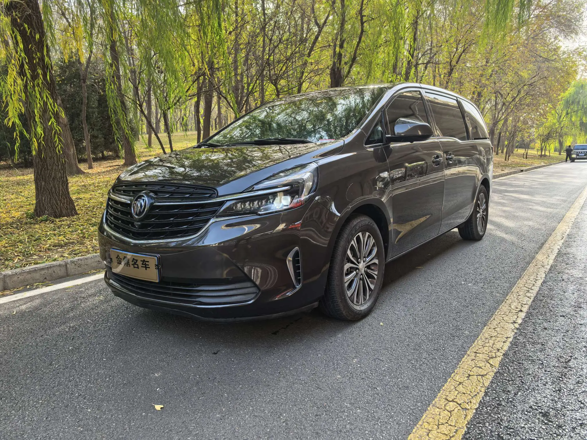 Buick GL8  из Китая