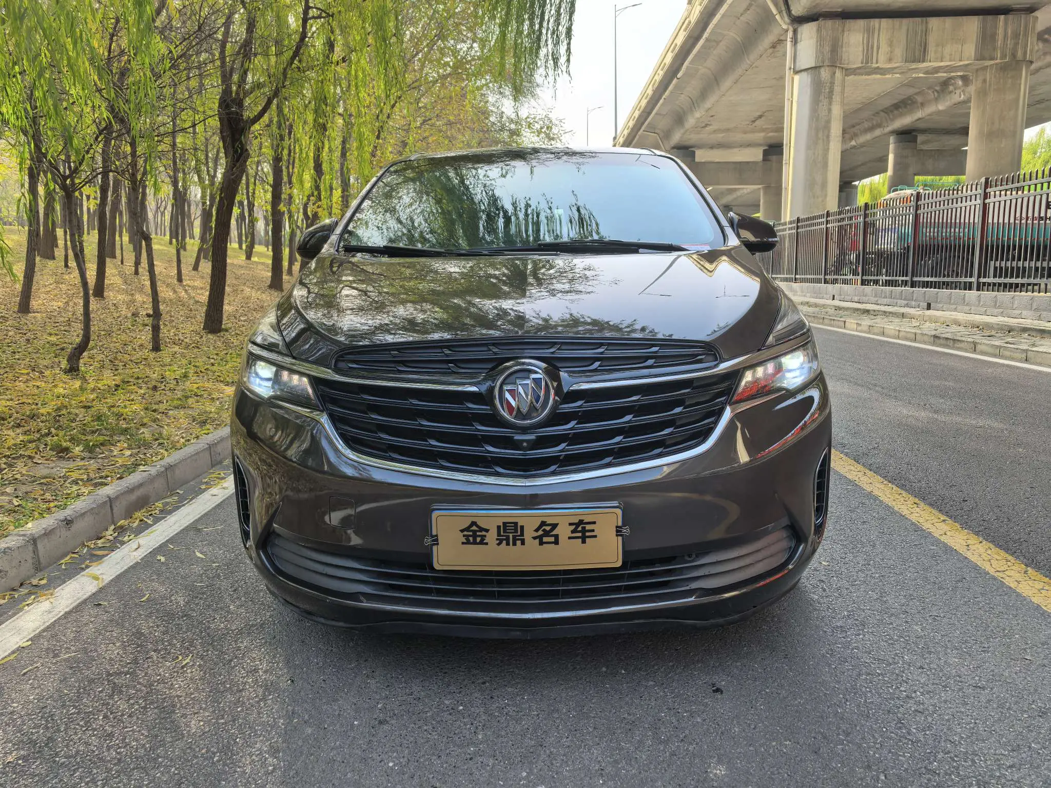 Buick GL8  из Китая