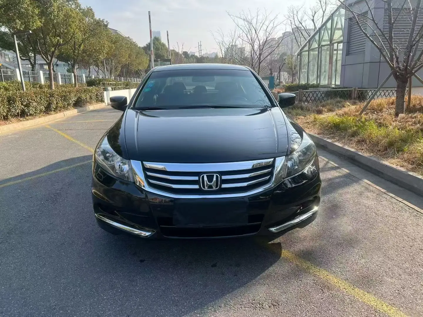 Honda Accord  из Китая