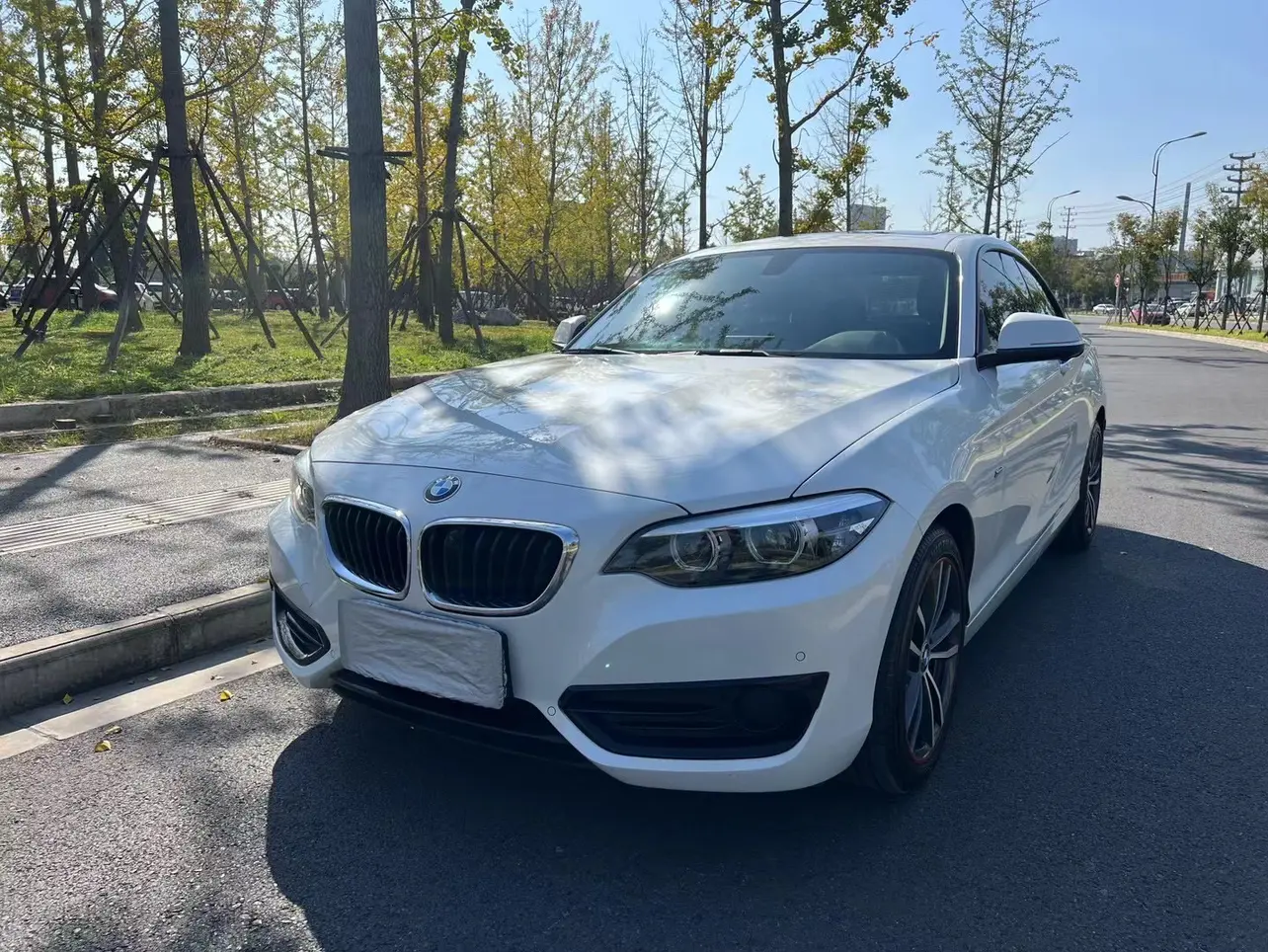 BMW 2 Series  из Китая