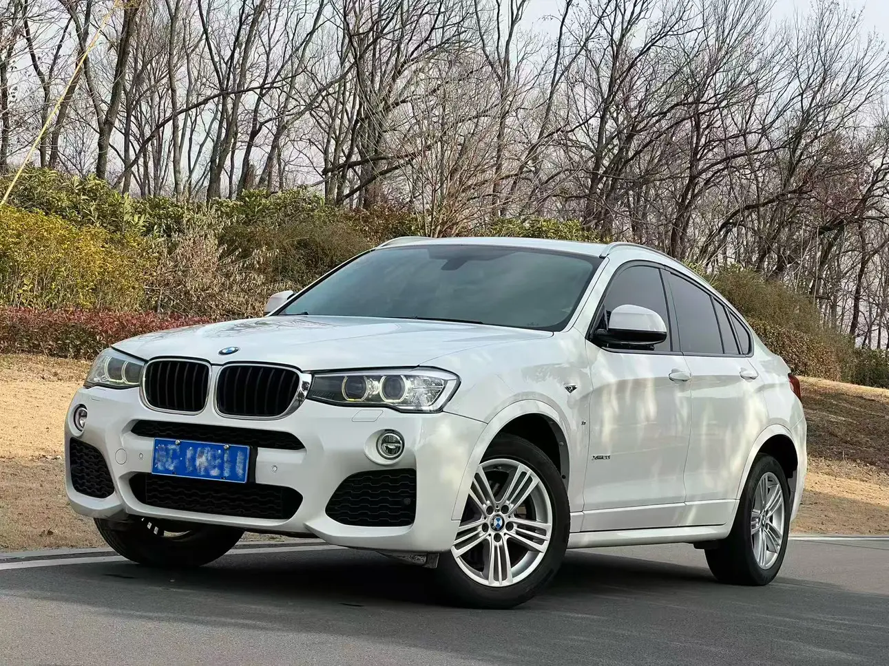 BMW X4  из Китая