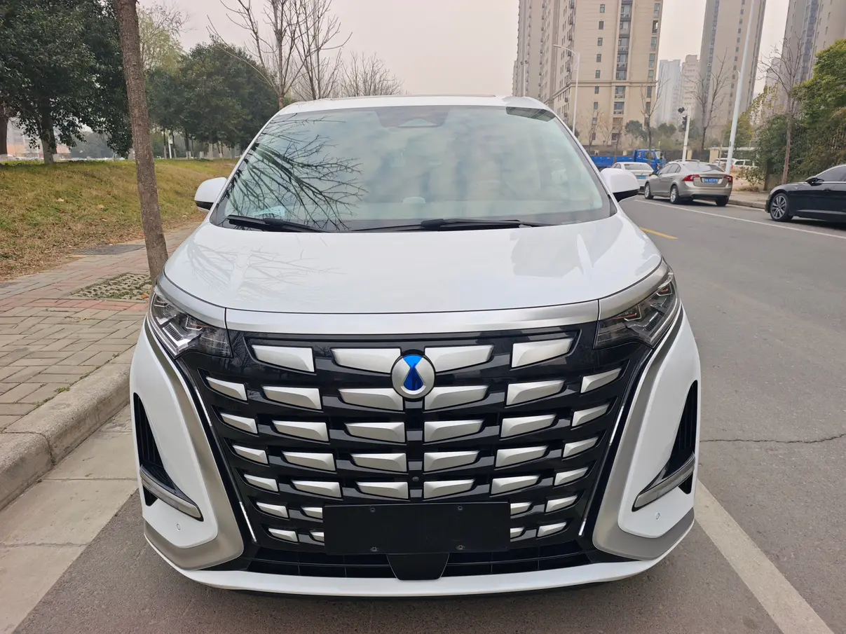 Denza D9 DM  из Китая