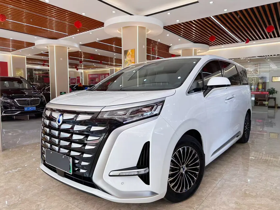 Denza D9 DM  из Китая