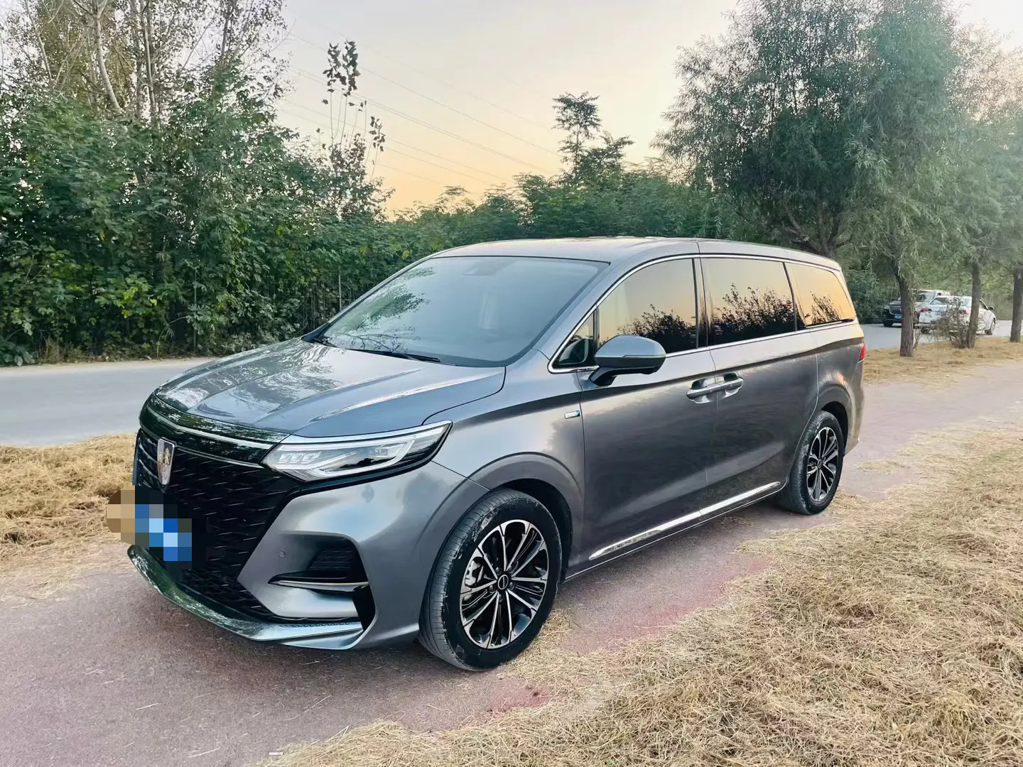 Roewe iMAX8  из Китая