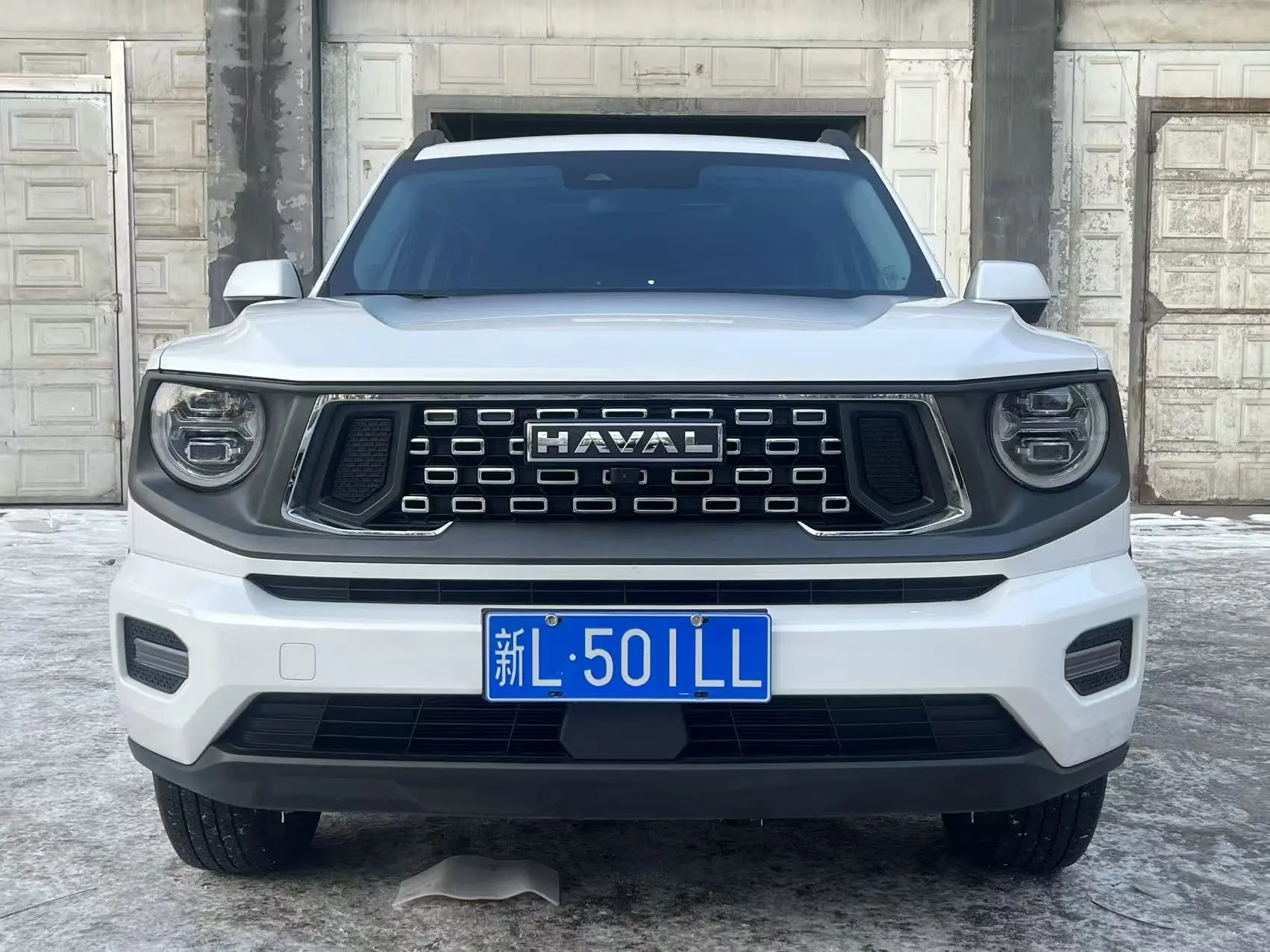 Haval Big Dog PLUS  из Китая