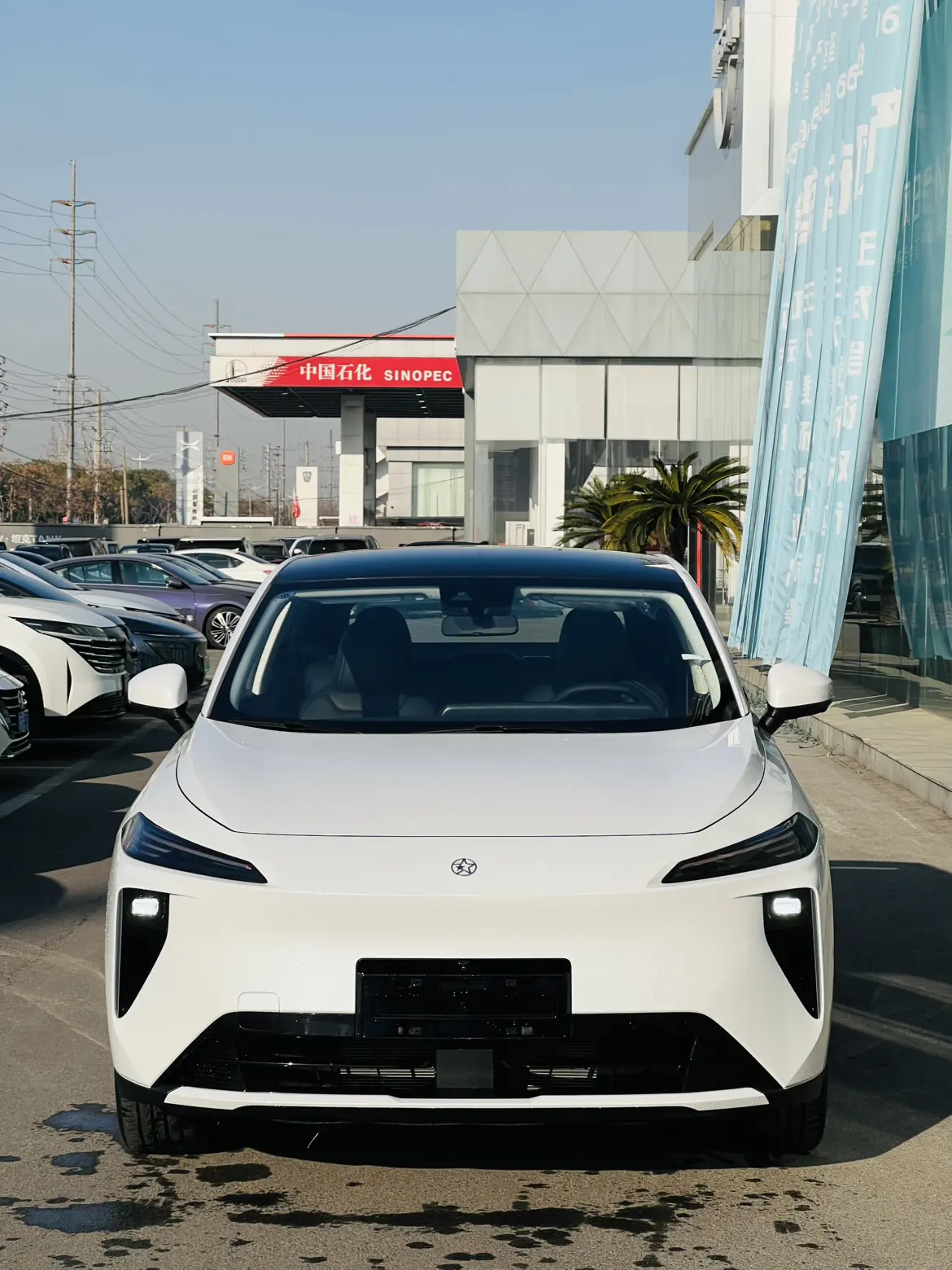 Kai Chen Qichen Big V DD-i  из Китая