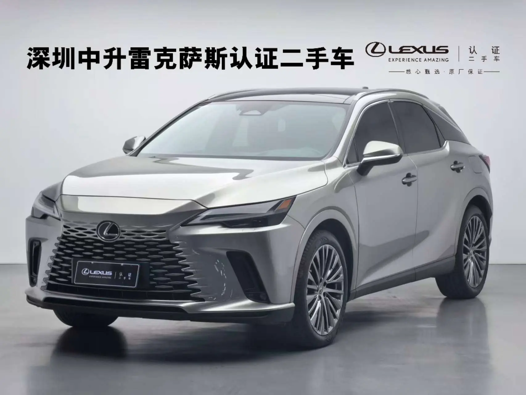 Lexus RX PHEV  из Китая