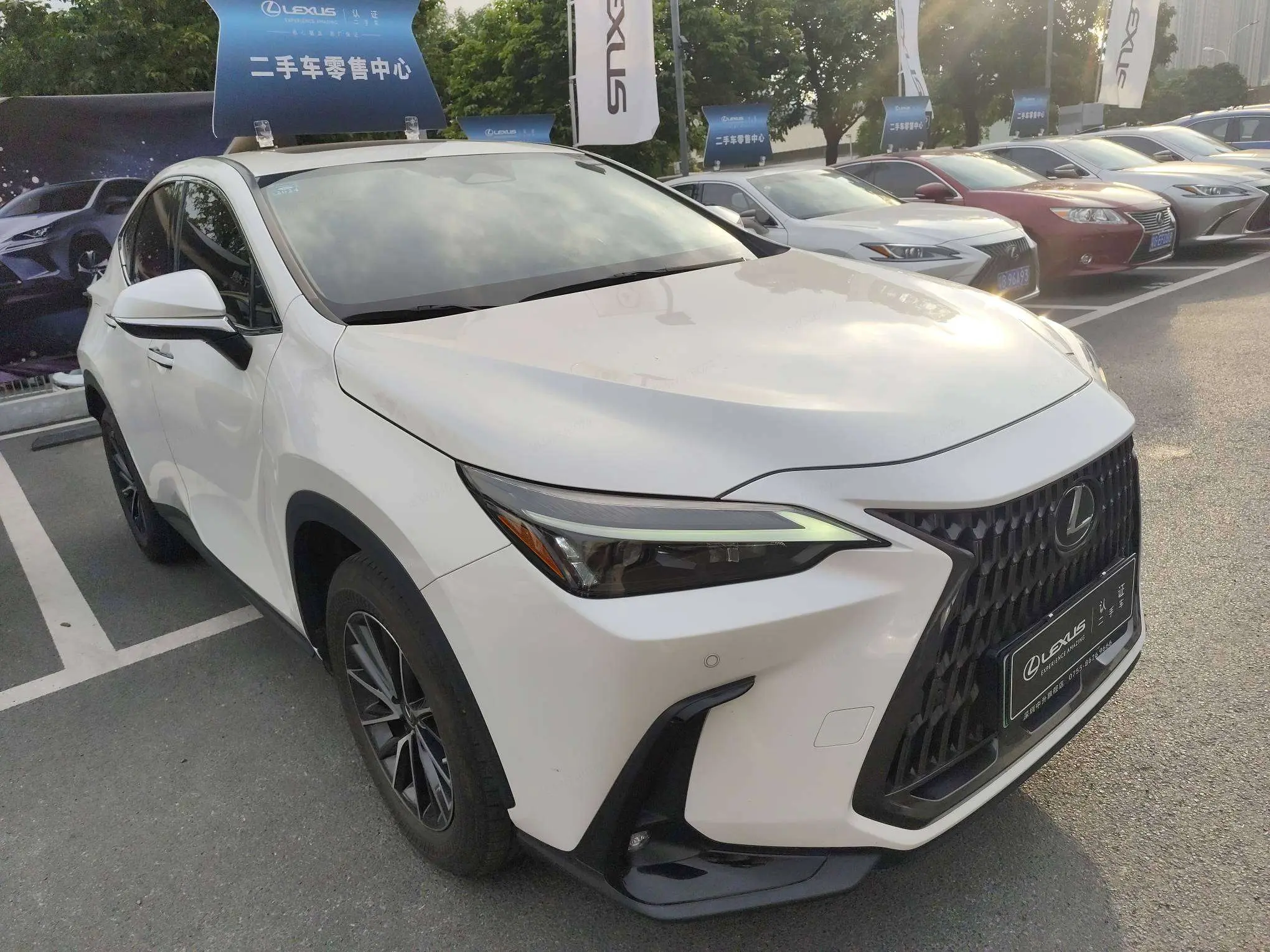 Lexus NX PHEV  из Китая