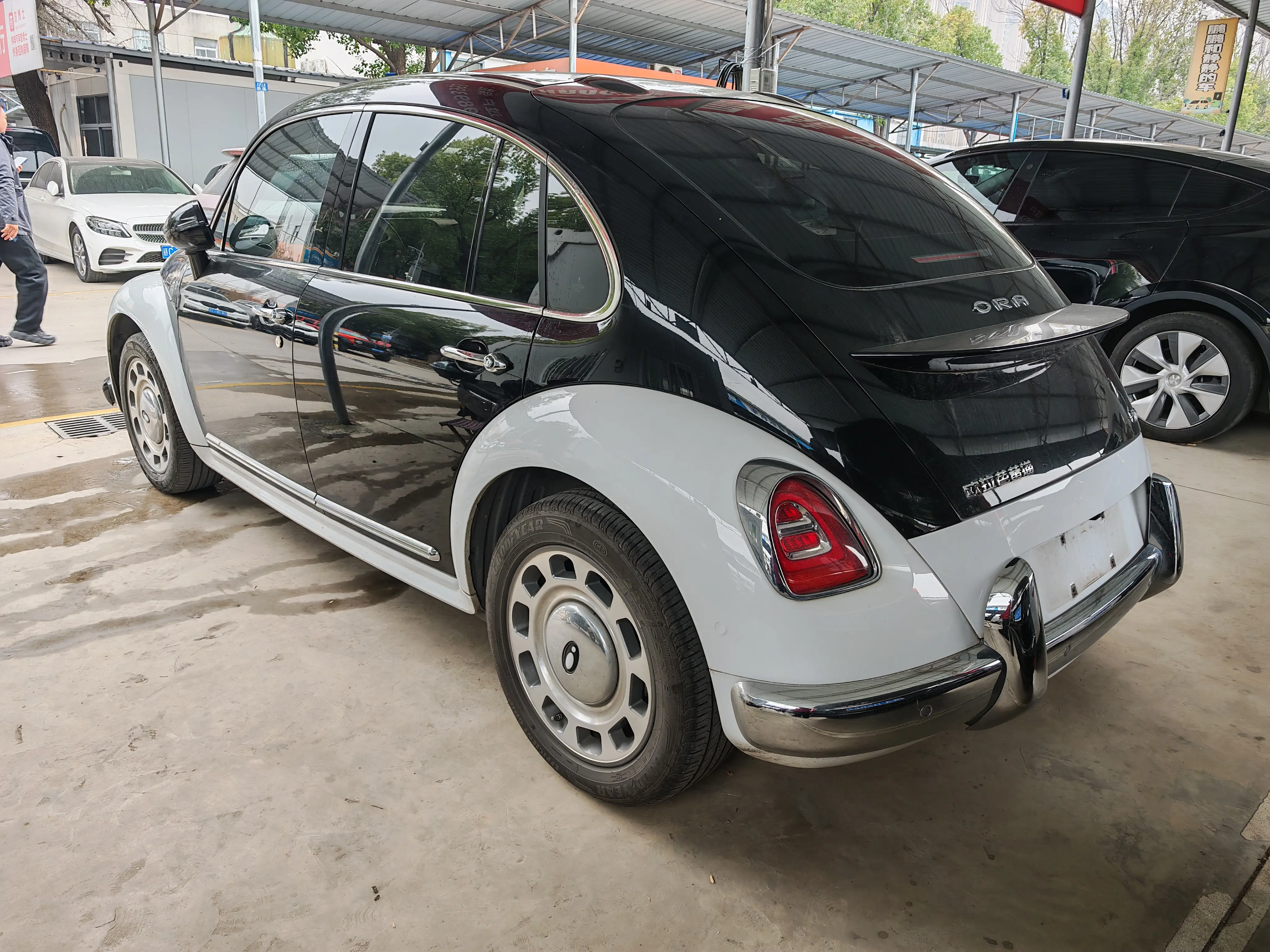 ORA Euler ballet cat  из Китая