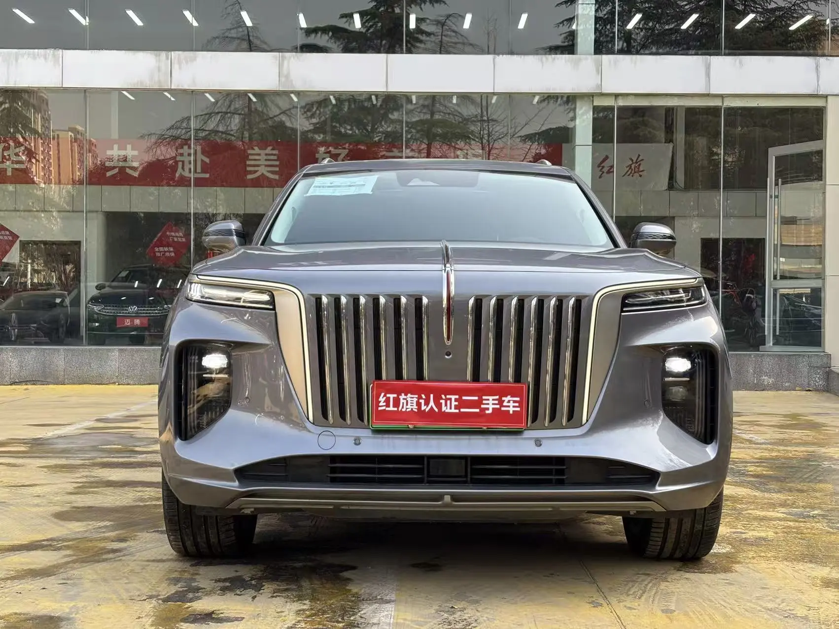 Hongqi E-HS9  из Китая