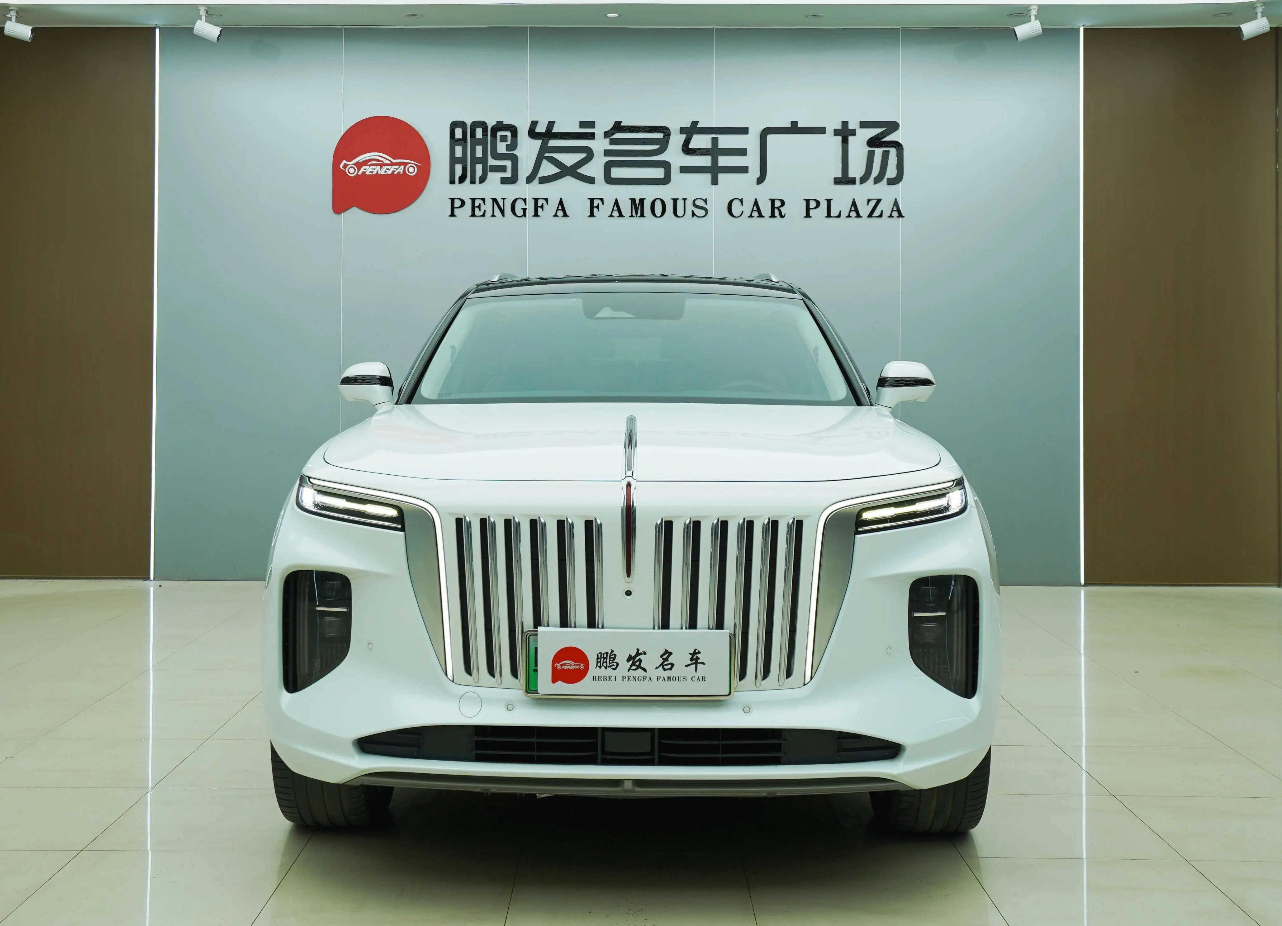 Hongqi E-HS9  из Китая