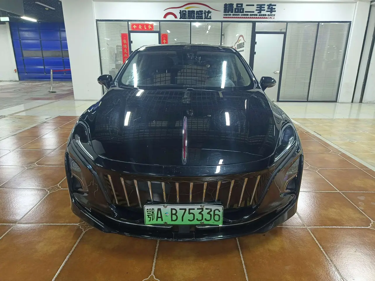 Hongqi E-QM5  из Китая