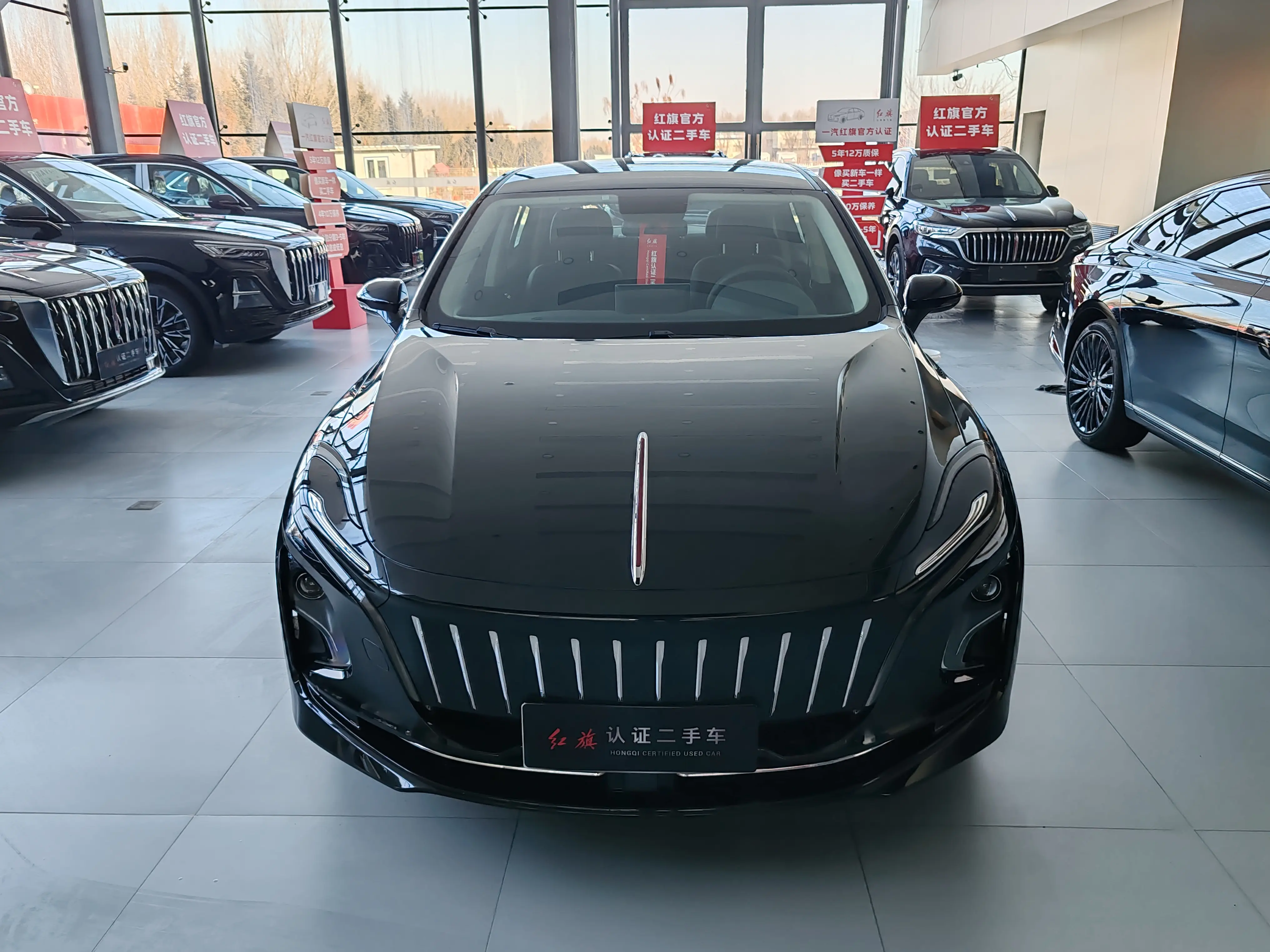 Hongqi E-QM5  из Китая