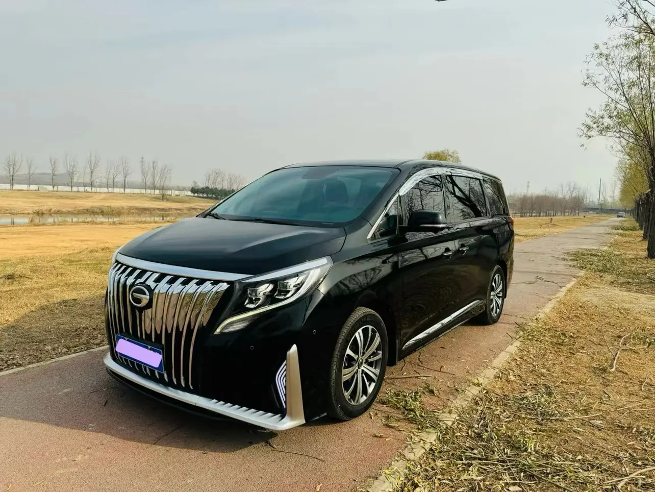 GAC Trumpchi M8  из Китая