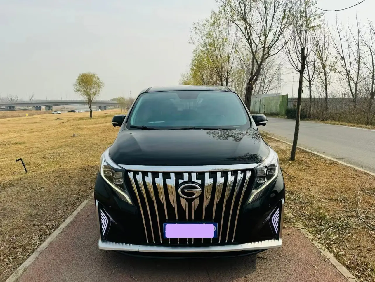 GAC Trumpchi M8  из Китая