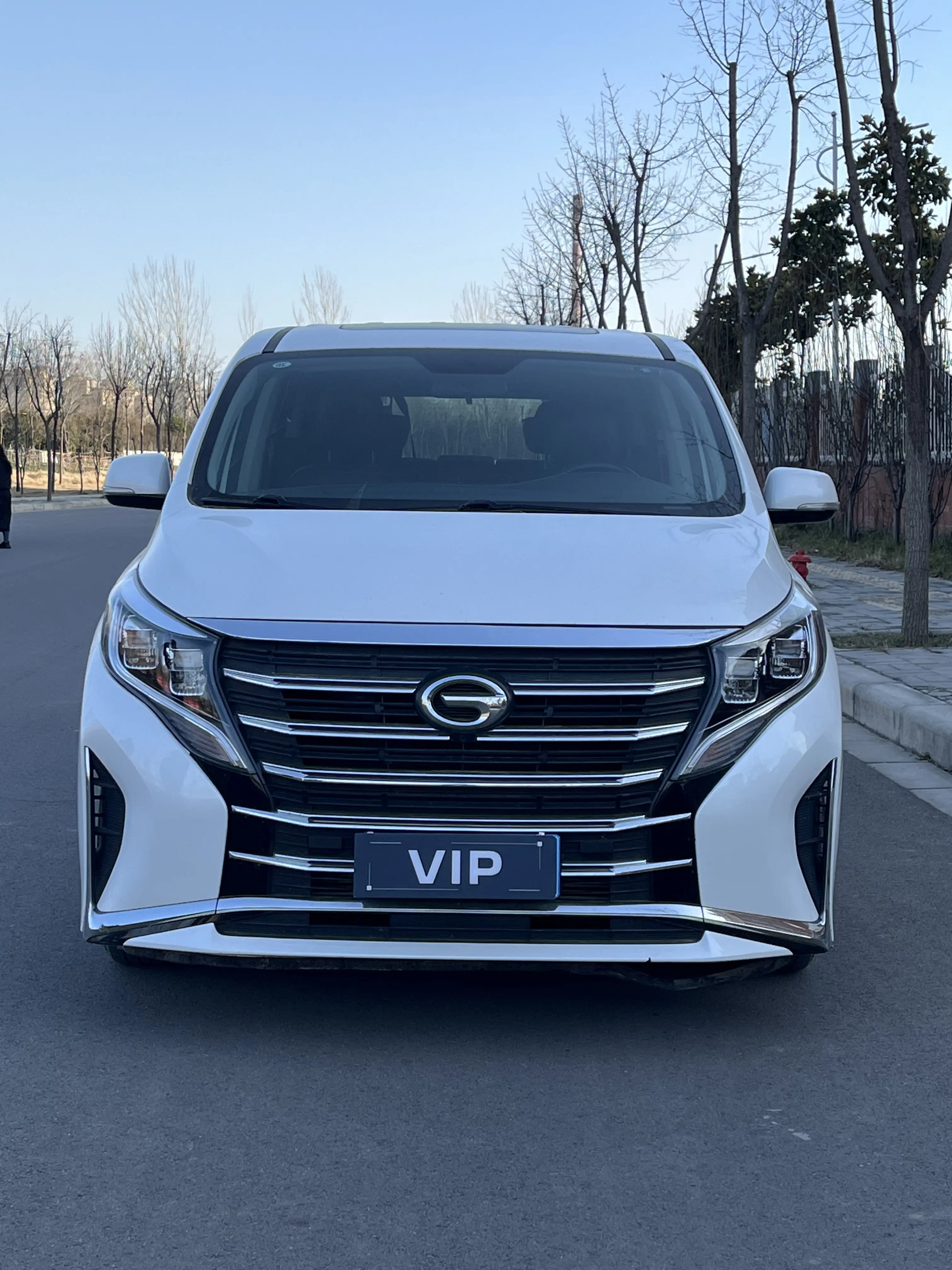 GAC Trumpchi M8  из Китая
