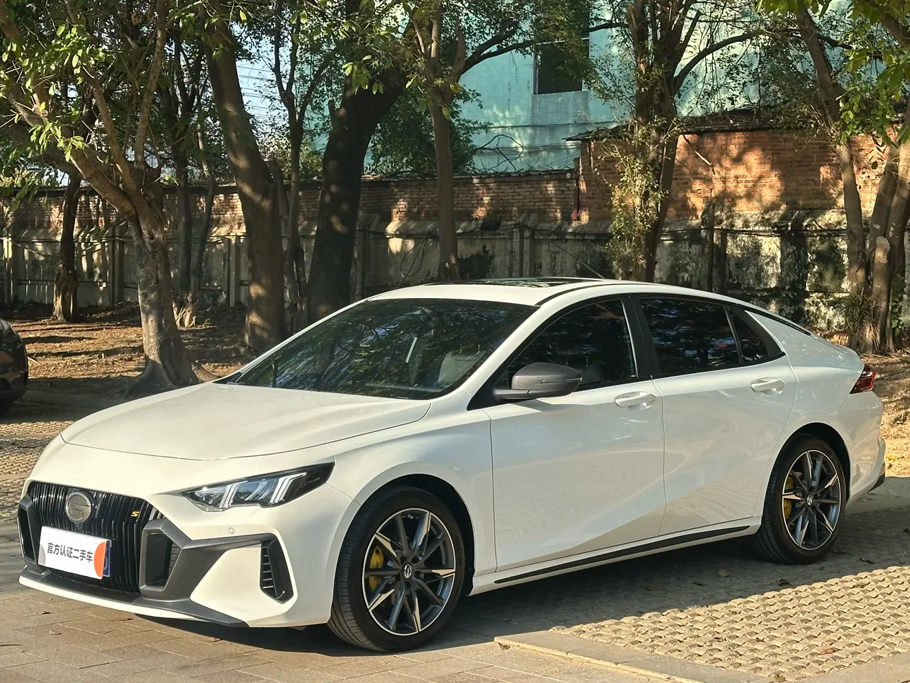 GAC Shadow Leopard  из Китая