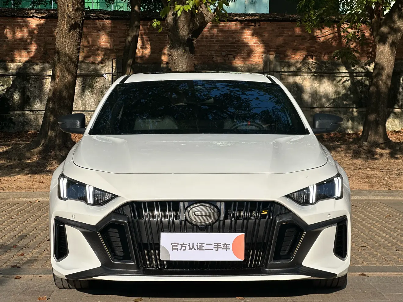 GAC Shadow Leopard  из Китая