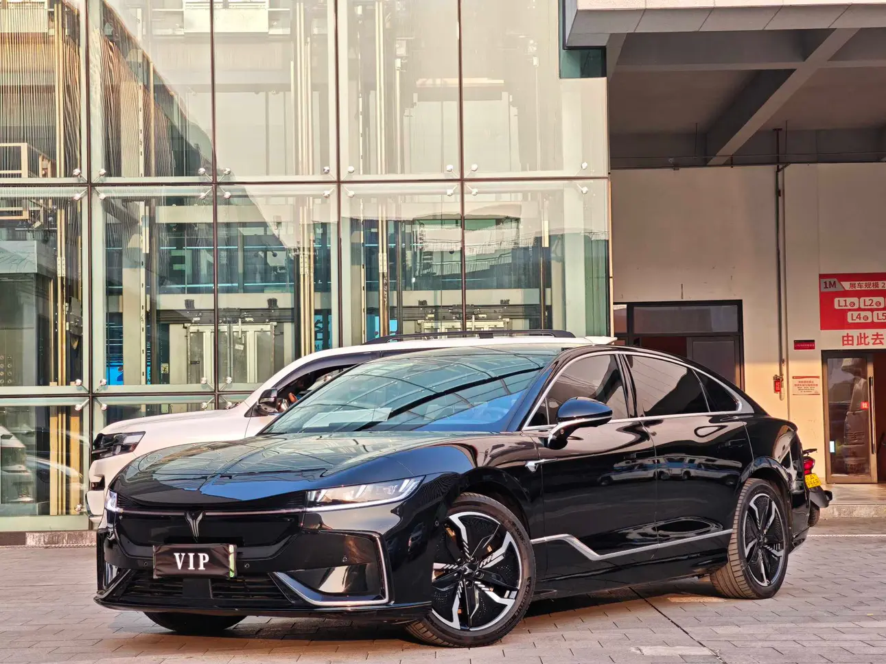 Voyah Passion EV  из Китая