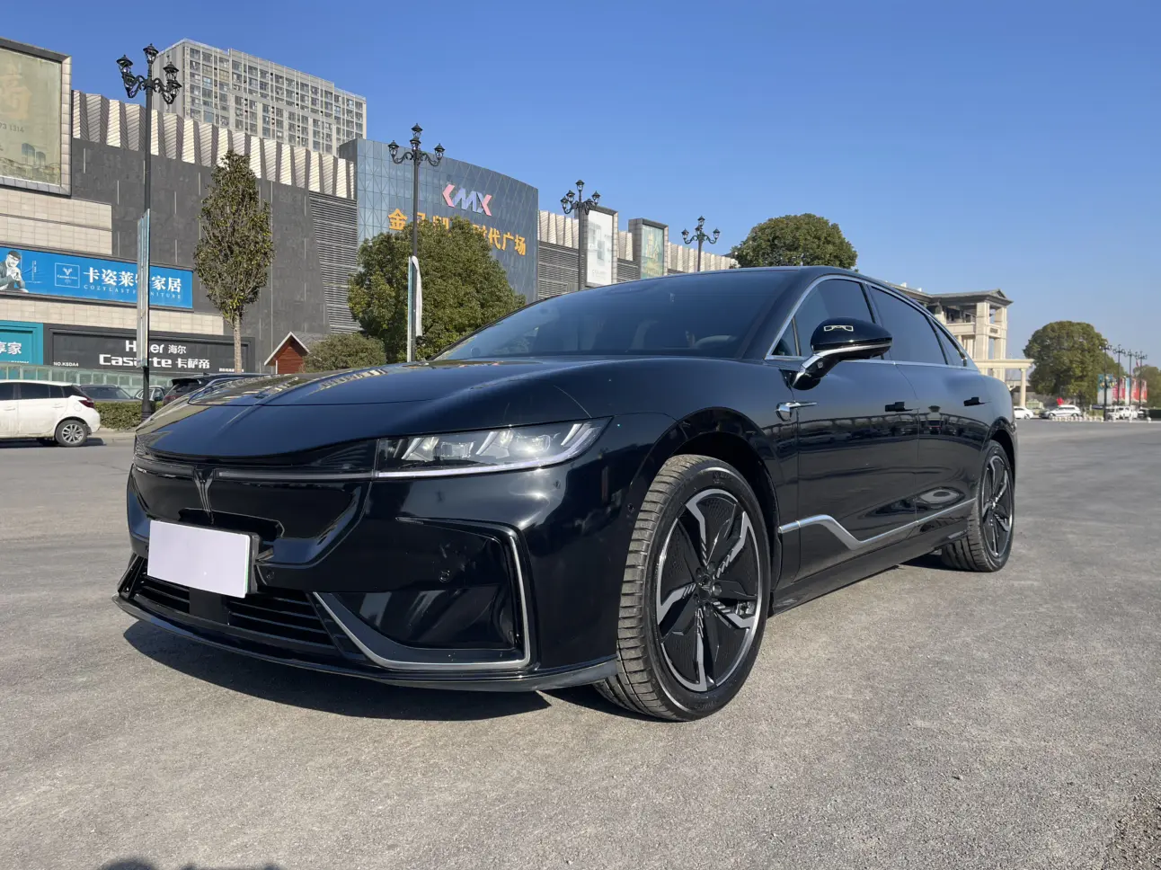 Voyah Passion EV  из Китая