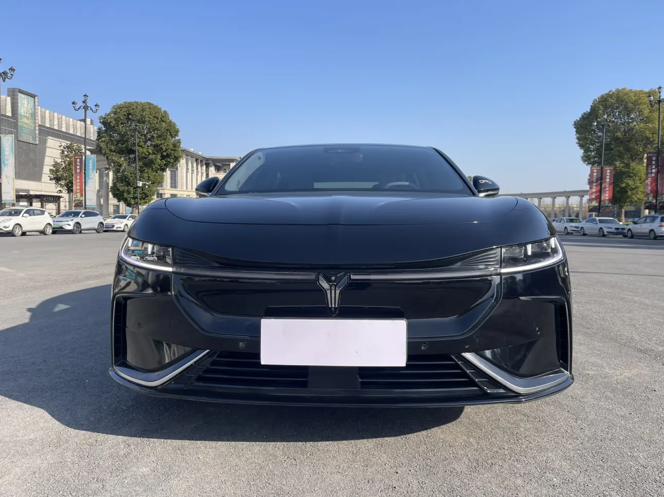 Voyah Passion EV  из Китая