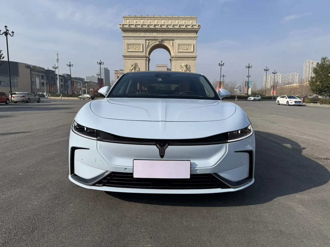 Voyah Passion EV  из Китая