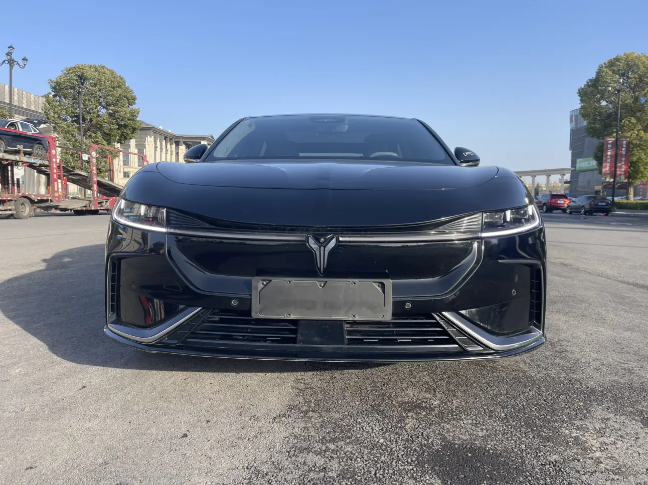 Voyah Passion EV  из Китая