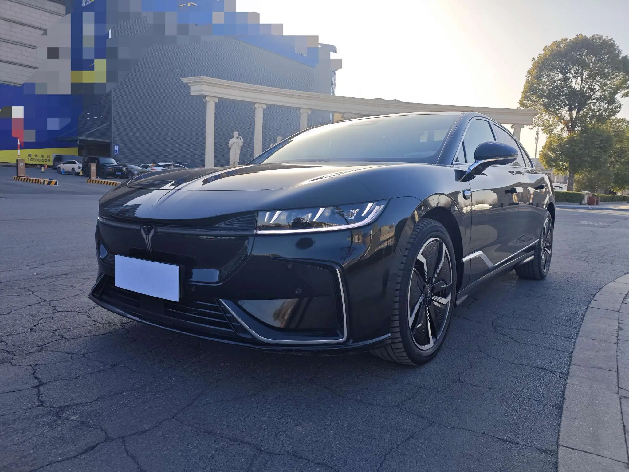 Voyah Passion EV  из Китая