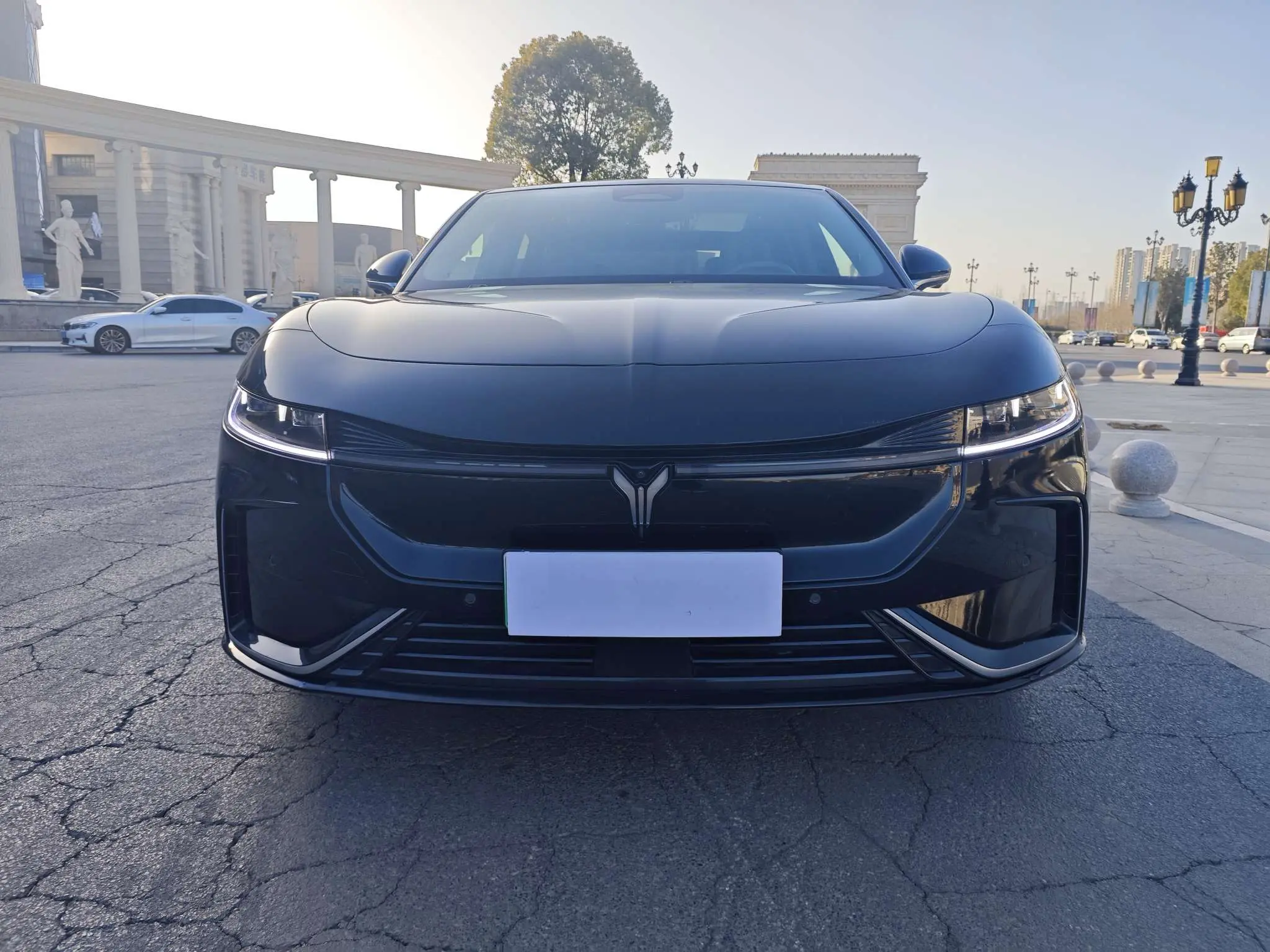 Voyah Passion EV  из Китая