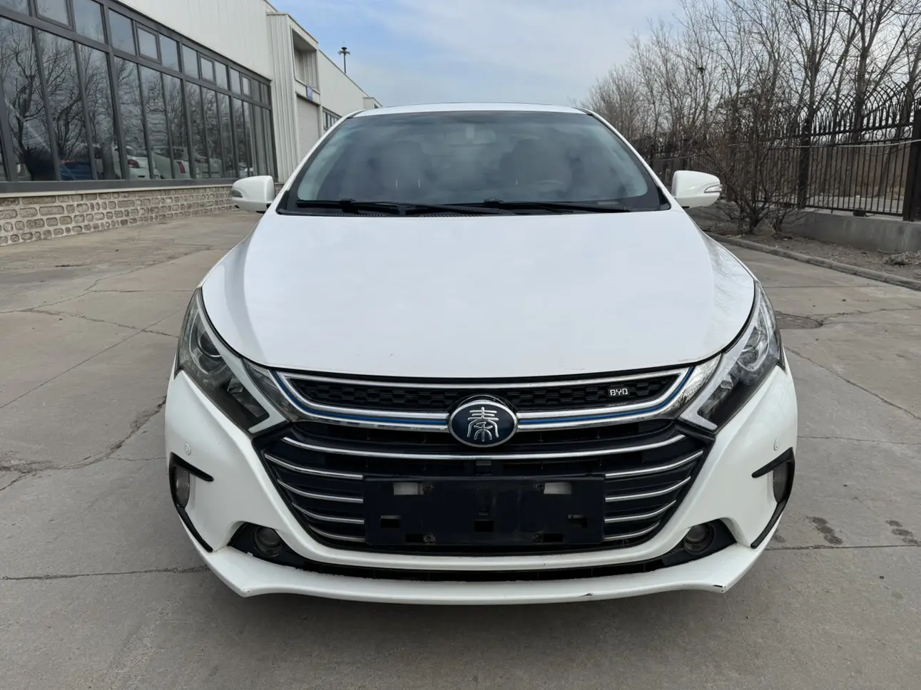 BYD Qin DM  из Китая