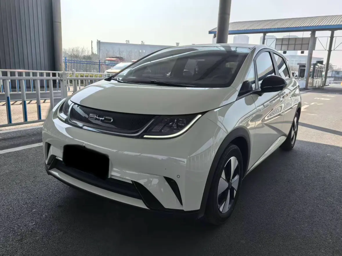 BYD Dolphin  из Китая