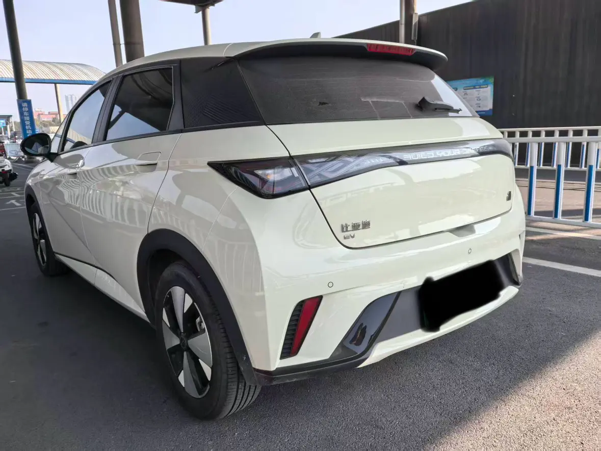 BYD Dolphin  из Китая