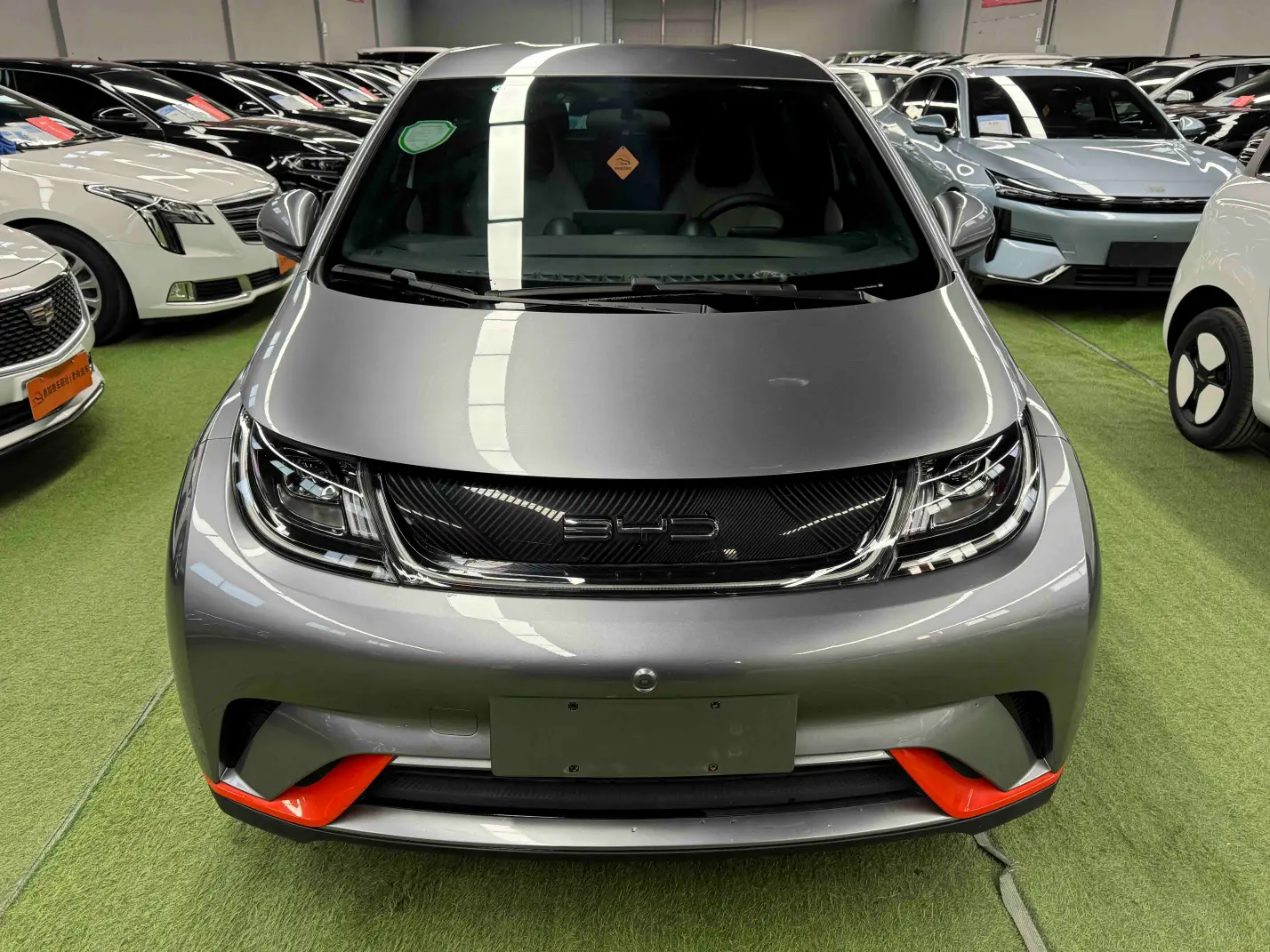 BYD Dolphin  из Китая