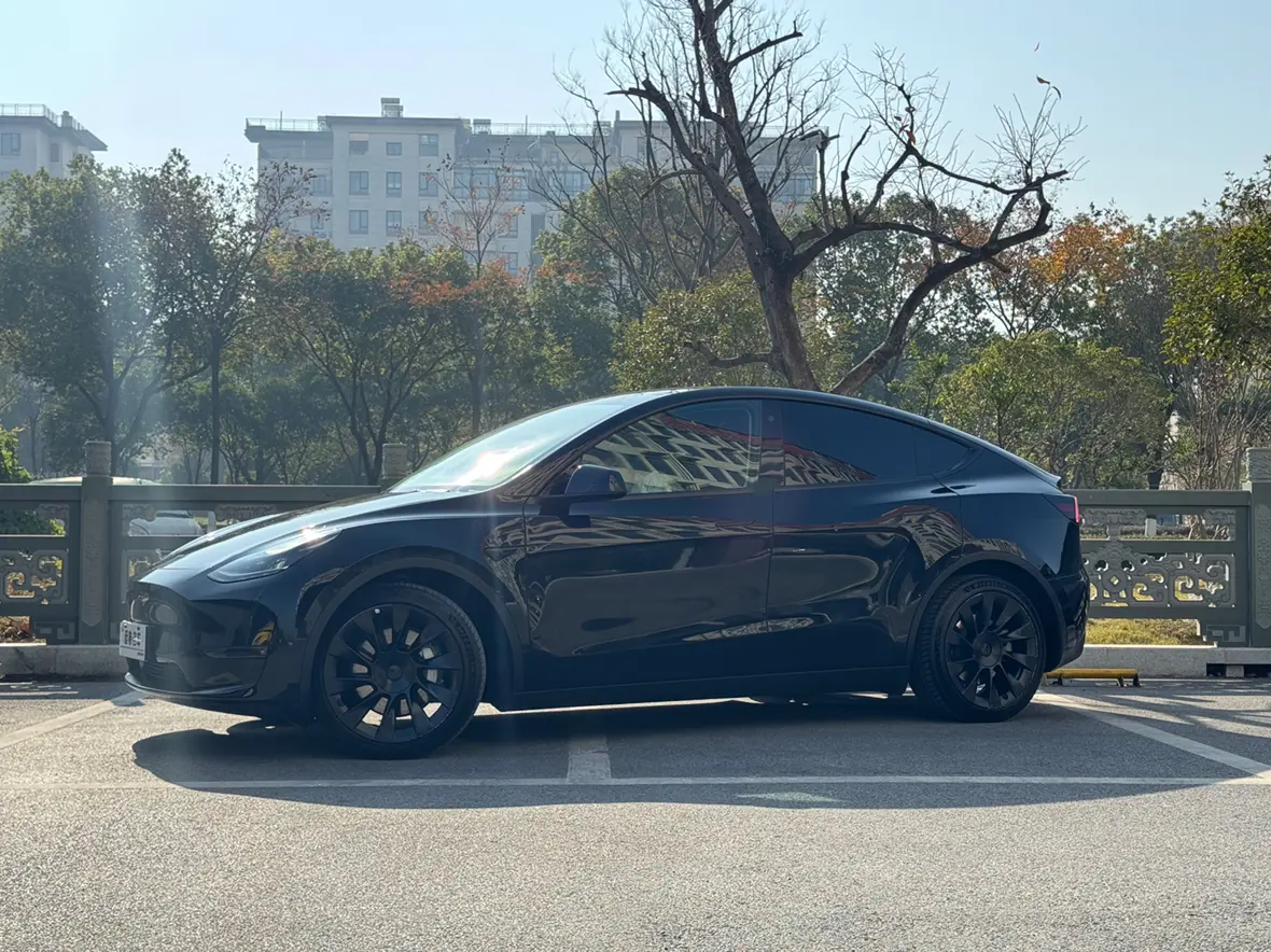 Tesla Model Y  из Китая