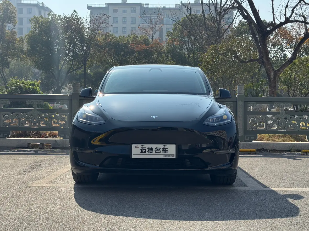 Tesla Model Y  из Китая