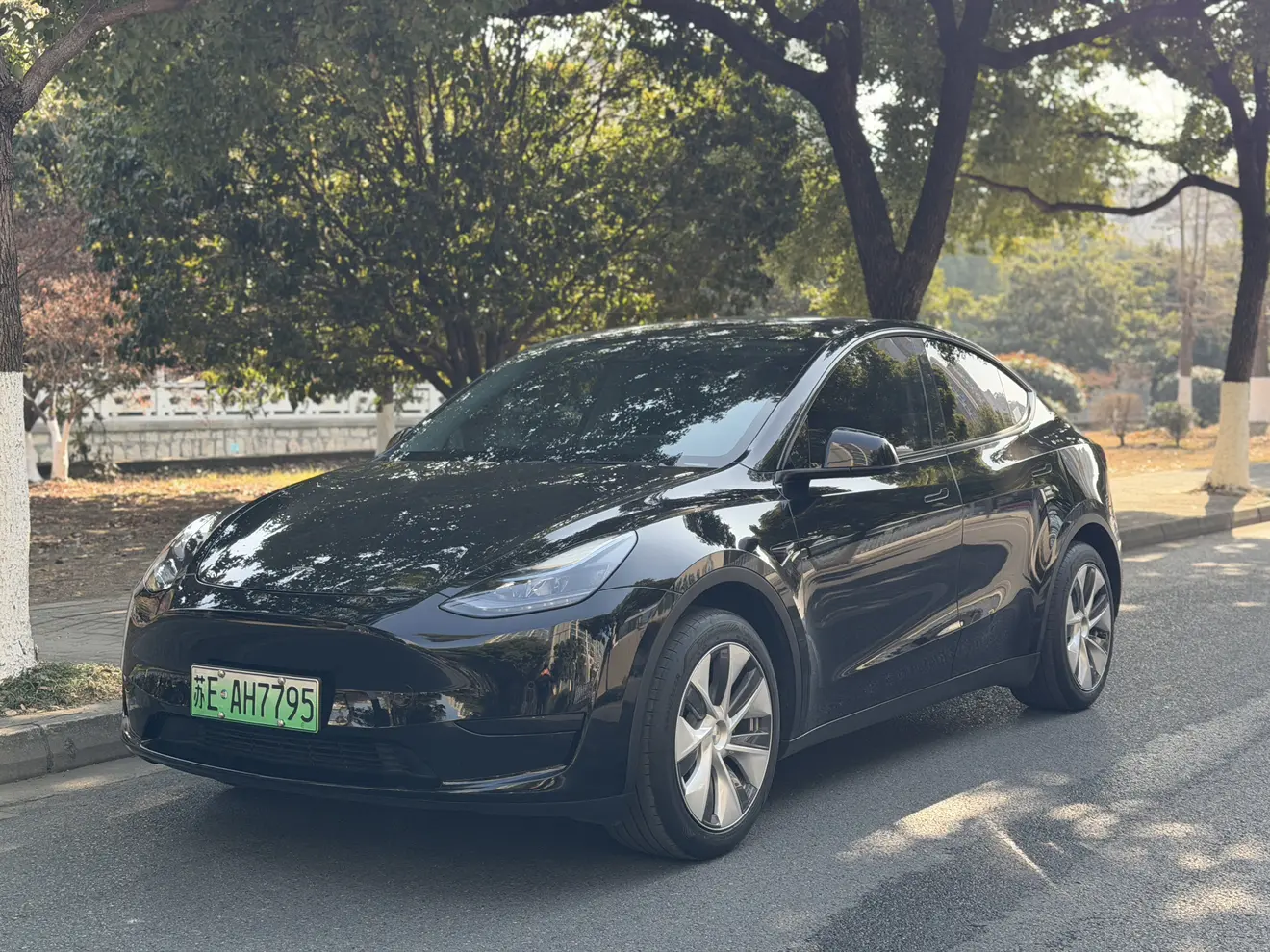 Tesla Model Y  из Китая