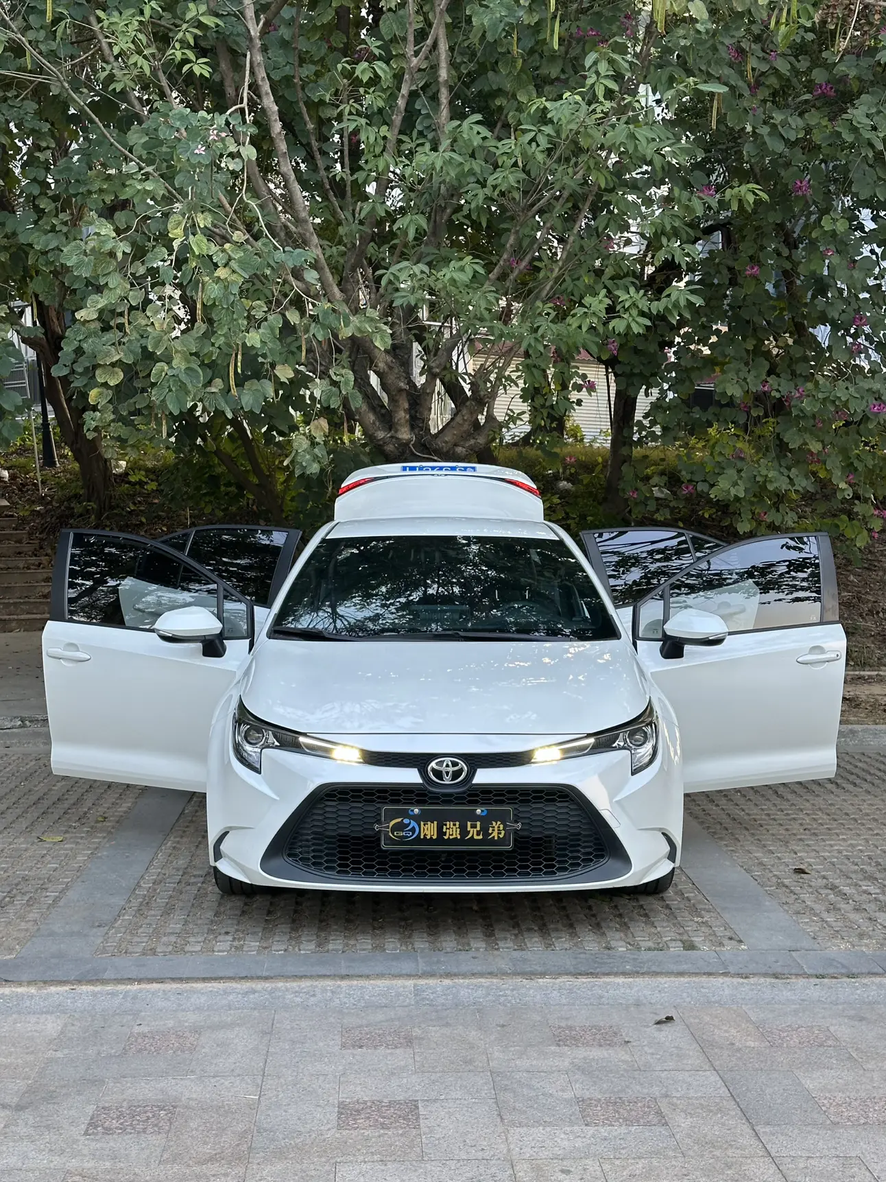 Toyota Levin (Lei Ling)  из Китая