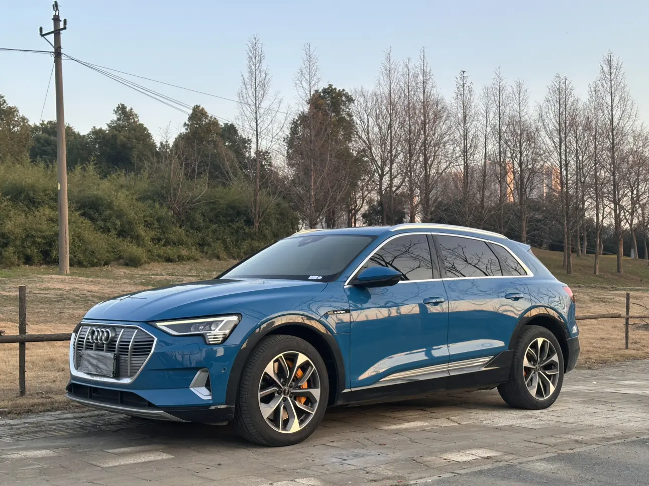Audi e-tron  из Китая