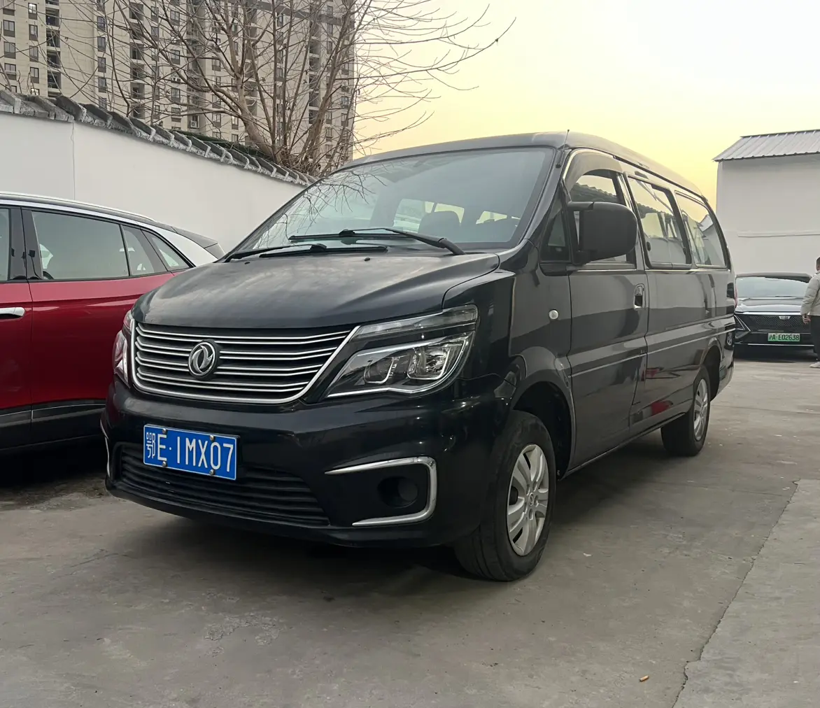 Forthing Lingzhi  из Китая