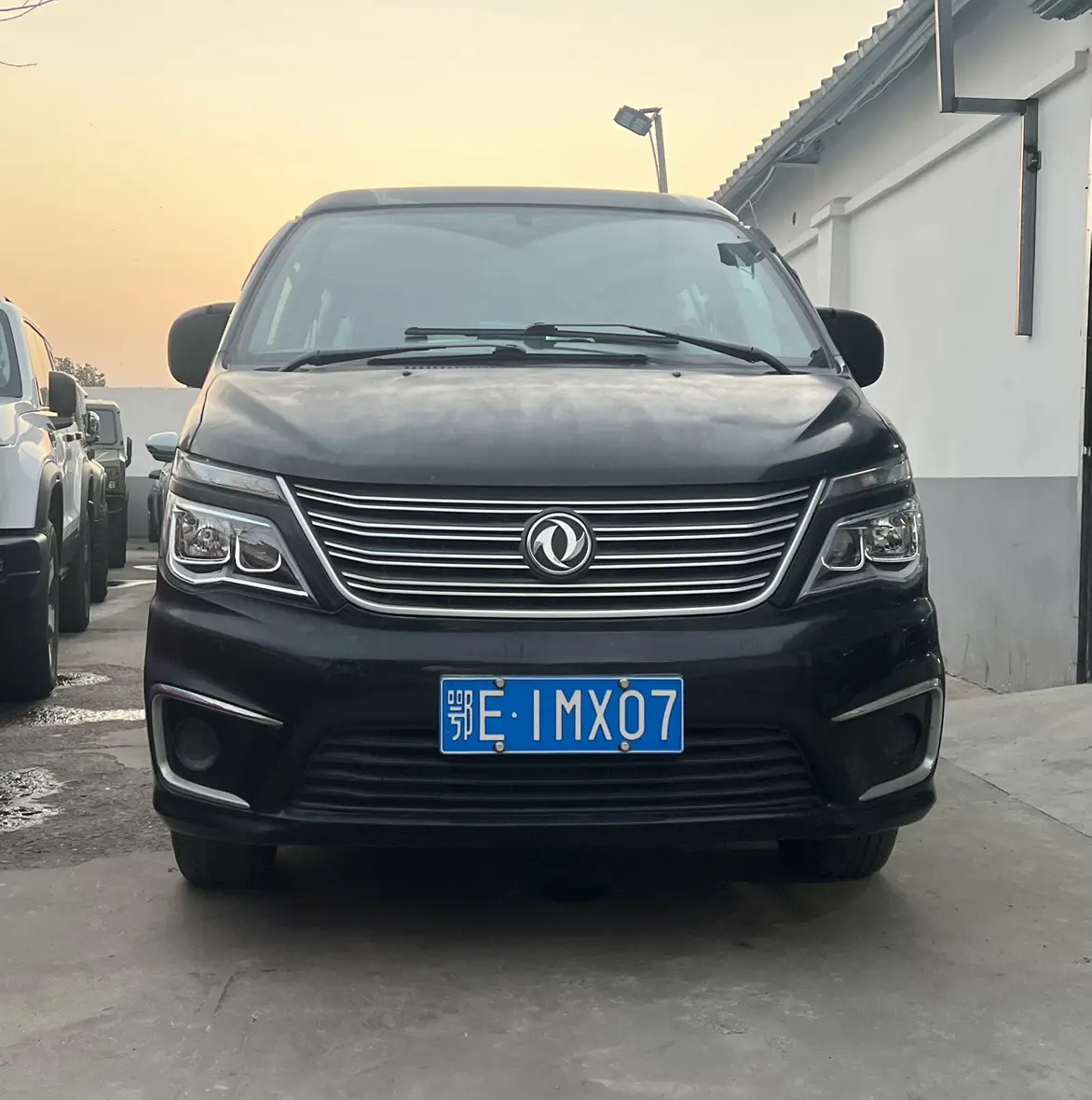 Forthing Lingzhi  из Китая