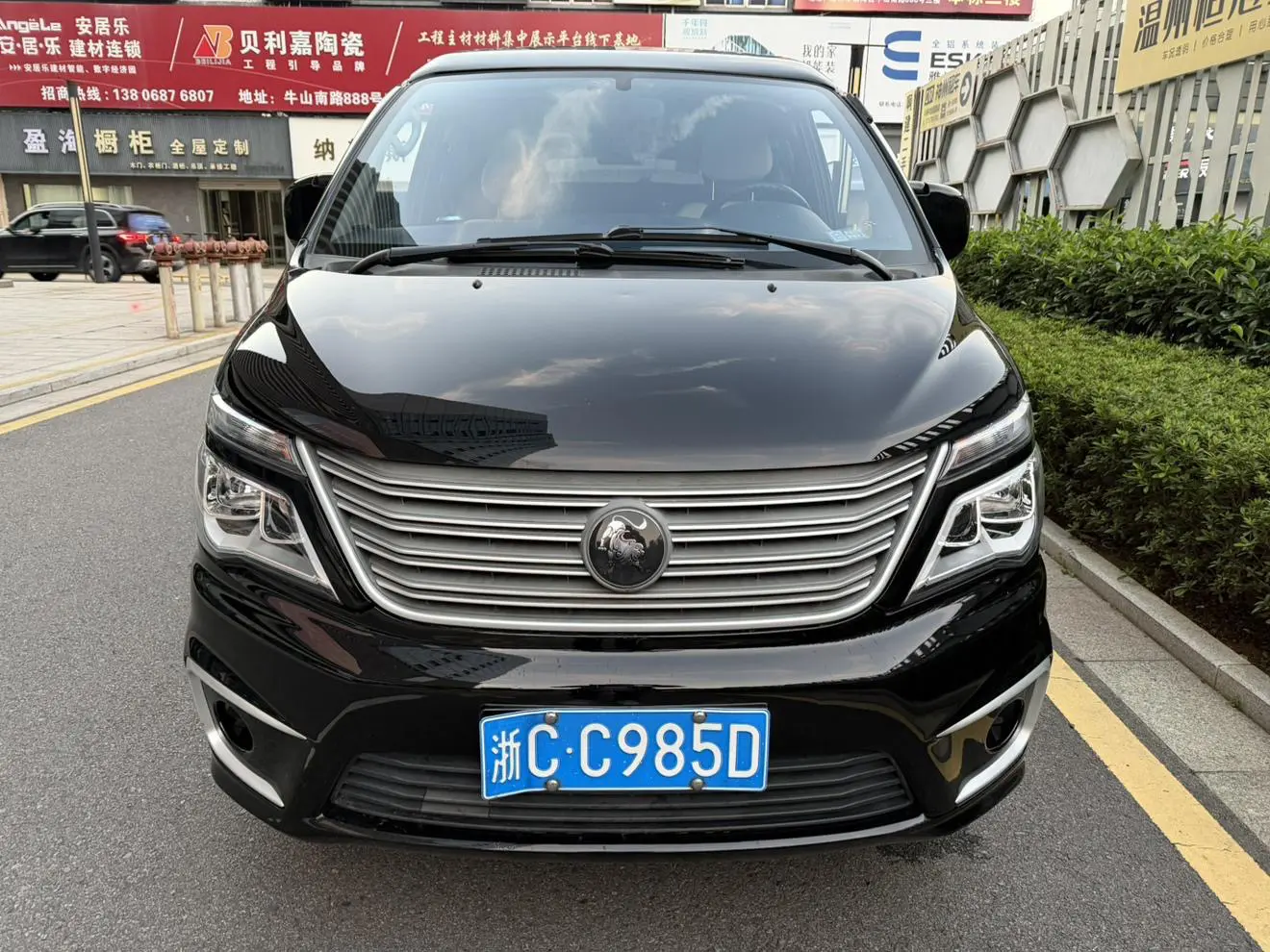 Forthing Lingzhi  из Китая