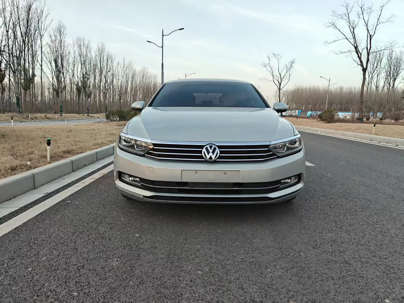 Volkswagen Magotan  из Китая